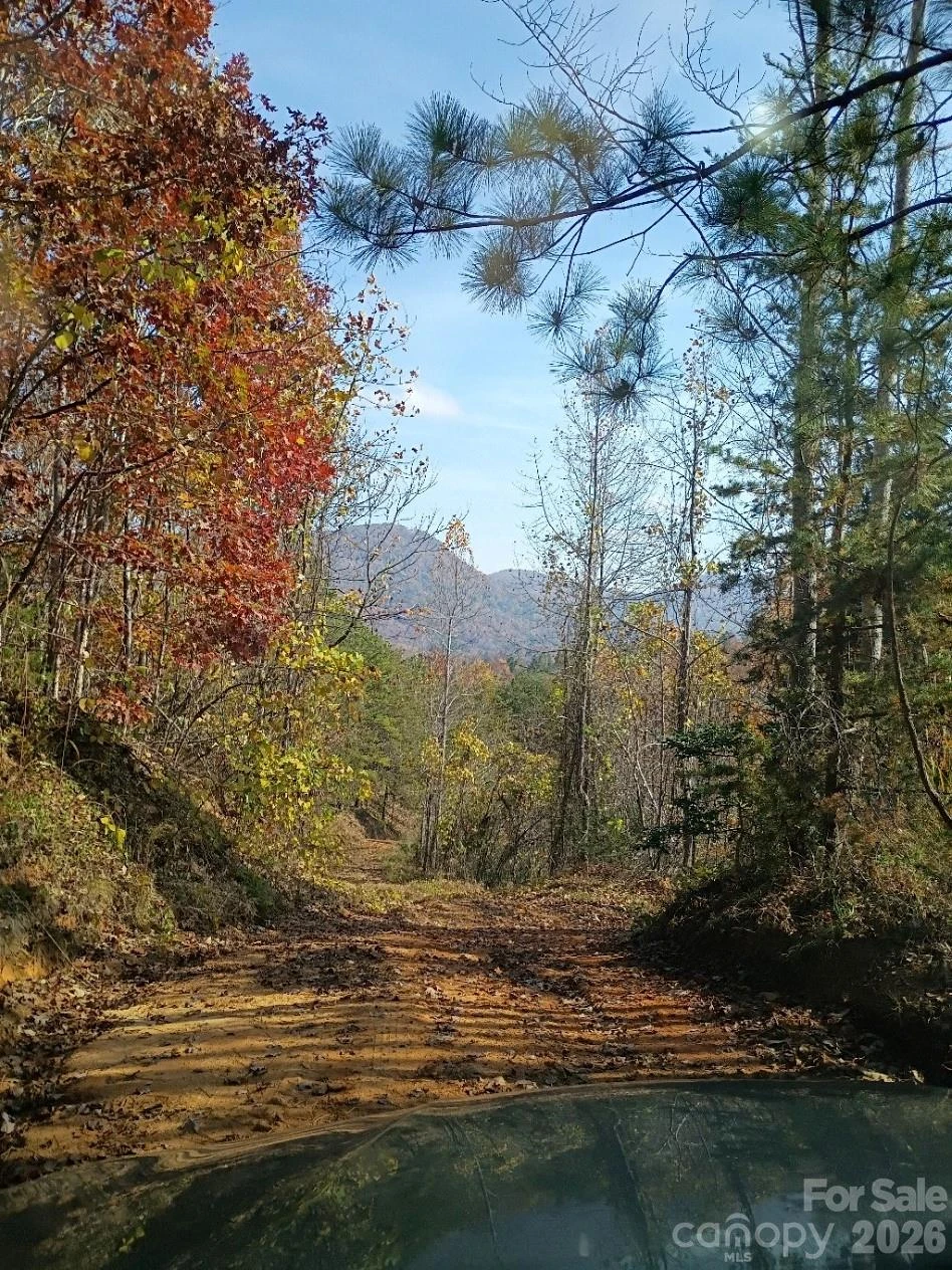3024 Camp Creek Road - Photo 4