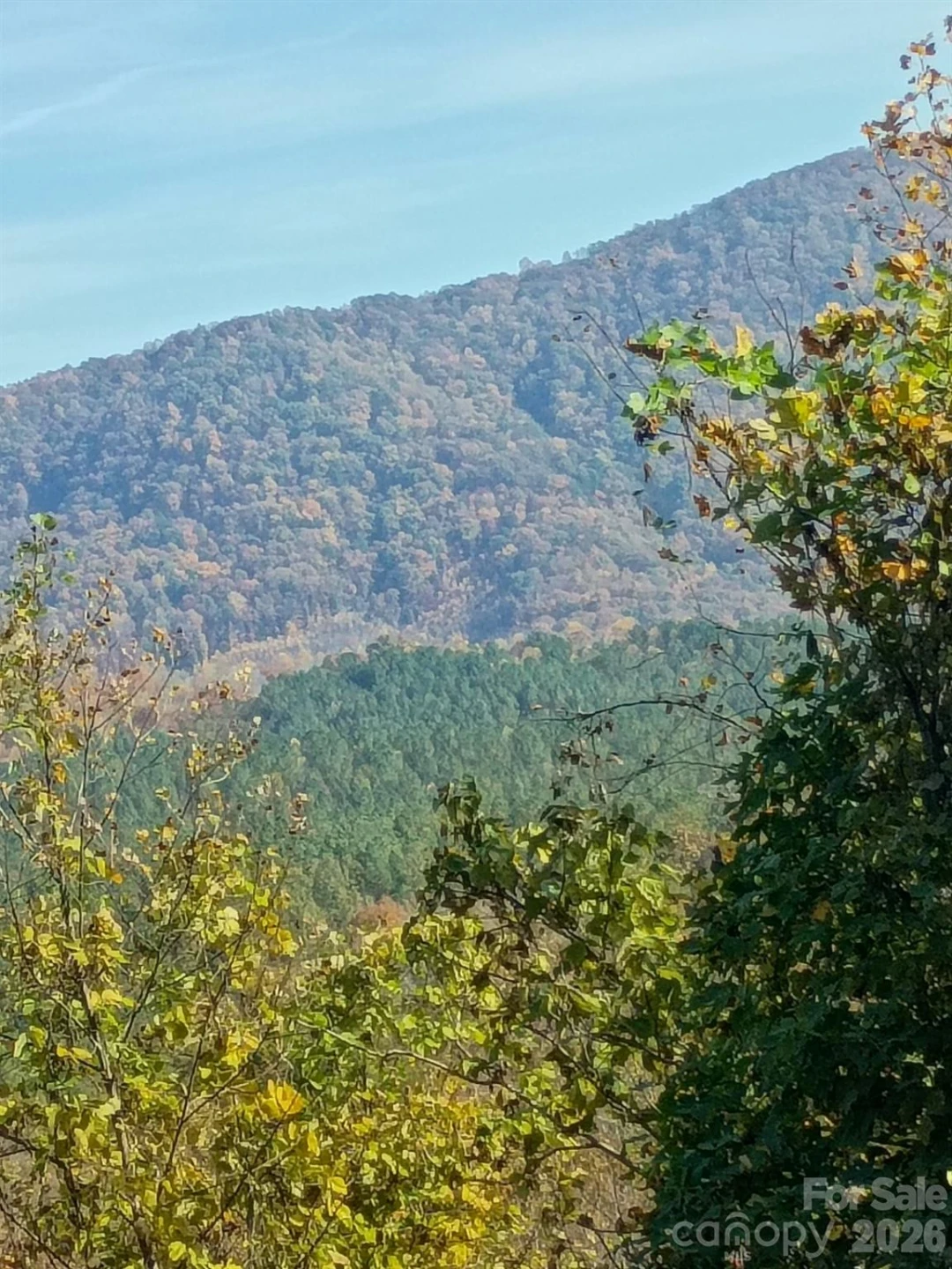 3024 Camp Creek Road - Photo 7