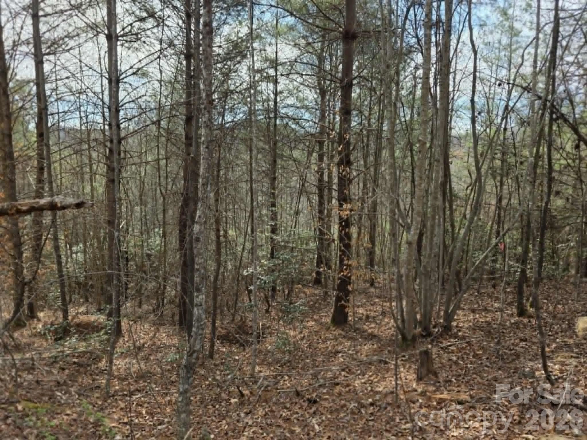 Lot 4 Kerlee Lane - Photo 2