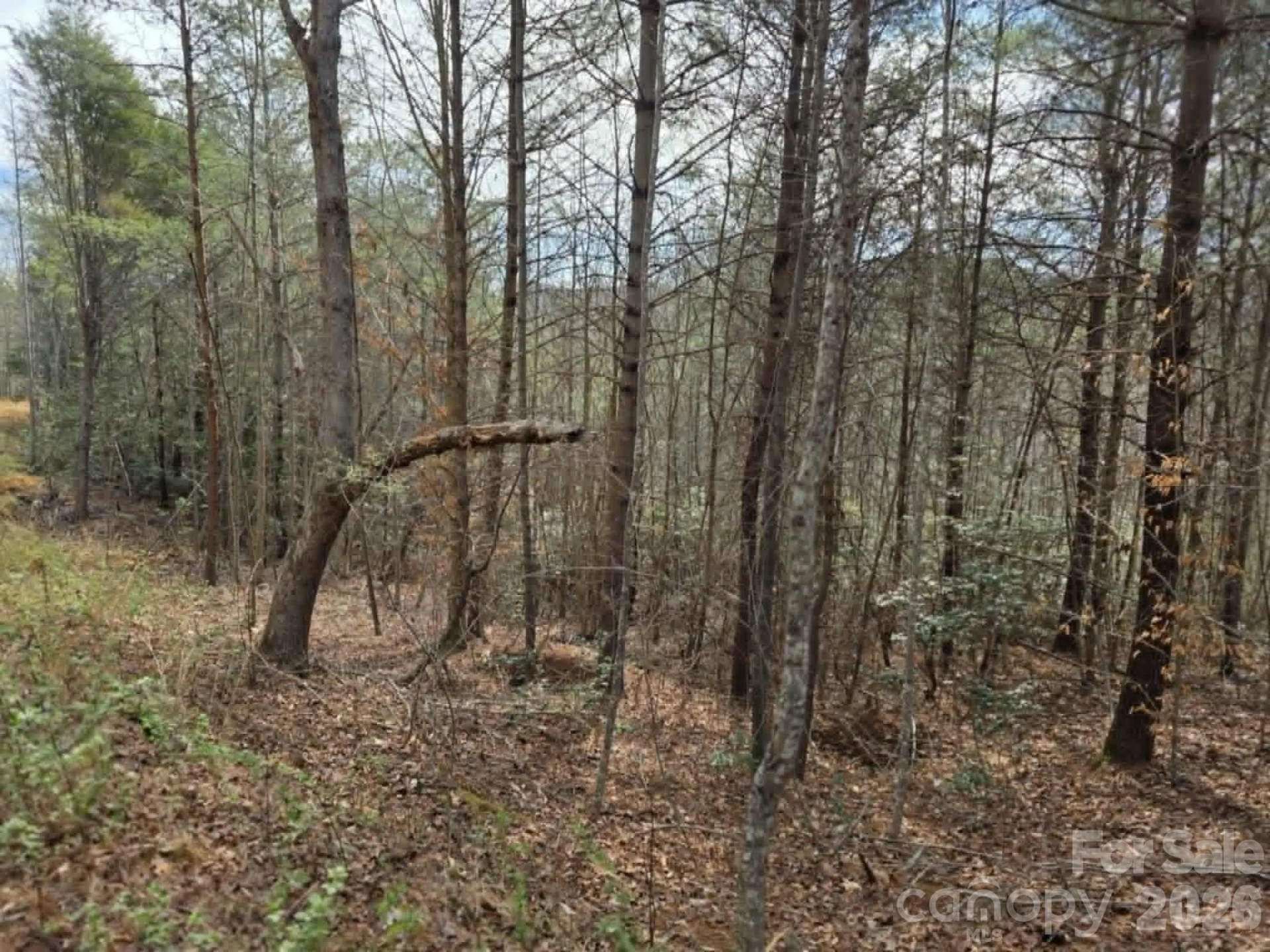 Lot 4 Kerlee Lane - Photo 3