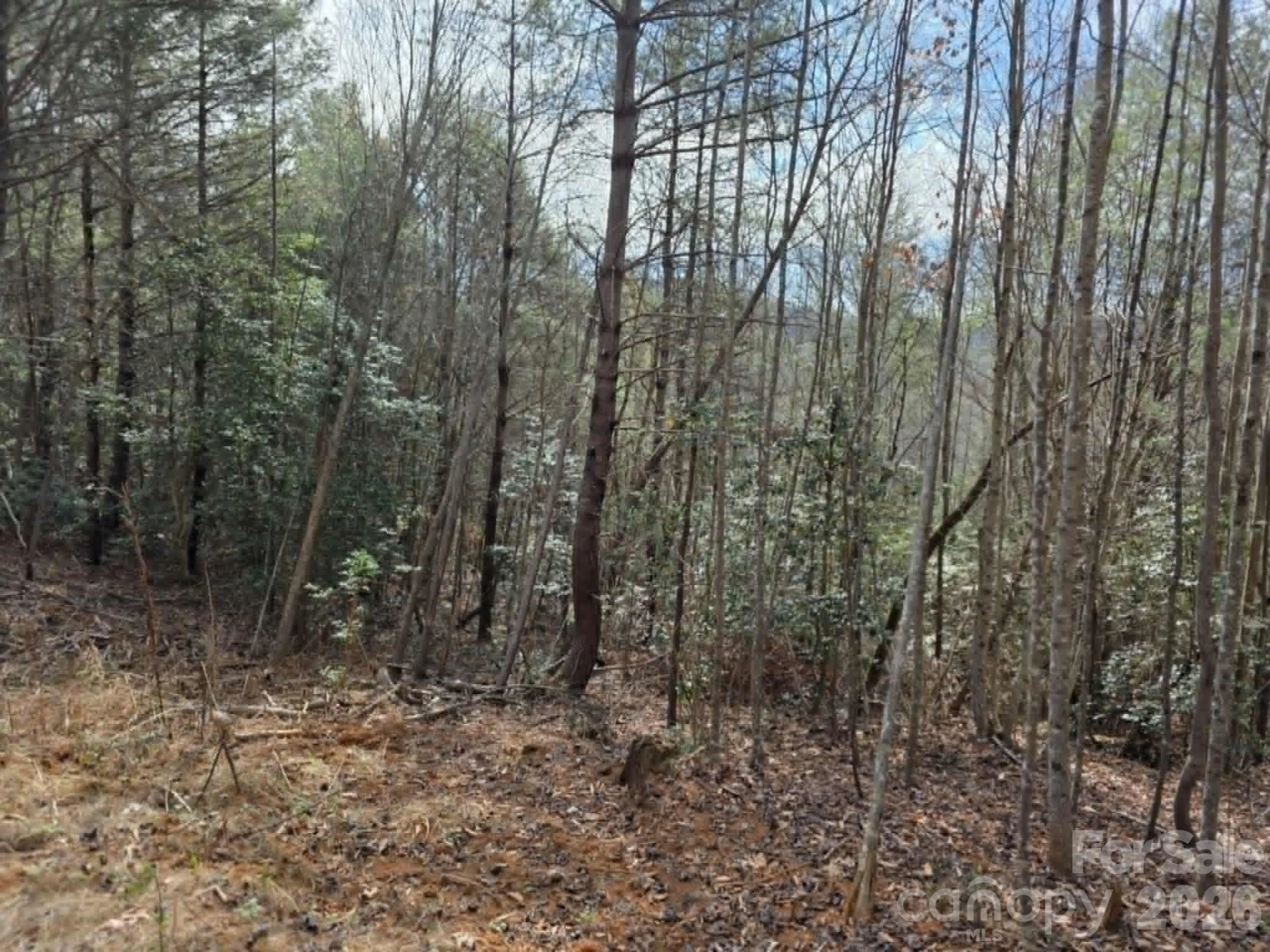 Lot 4 Kerlee Lane - Photo 4