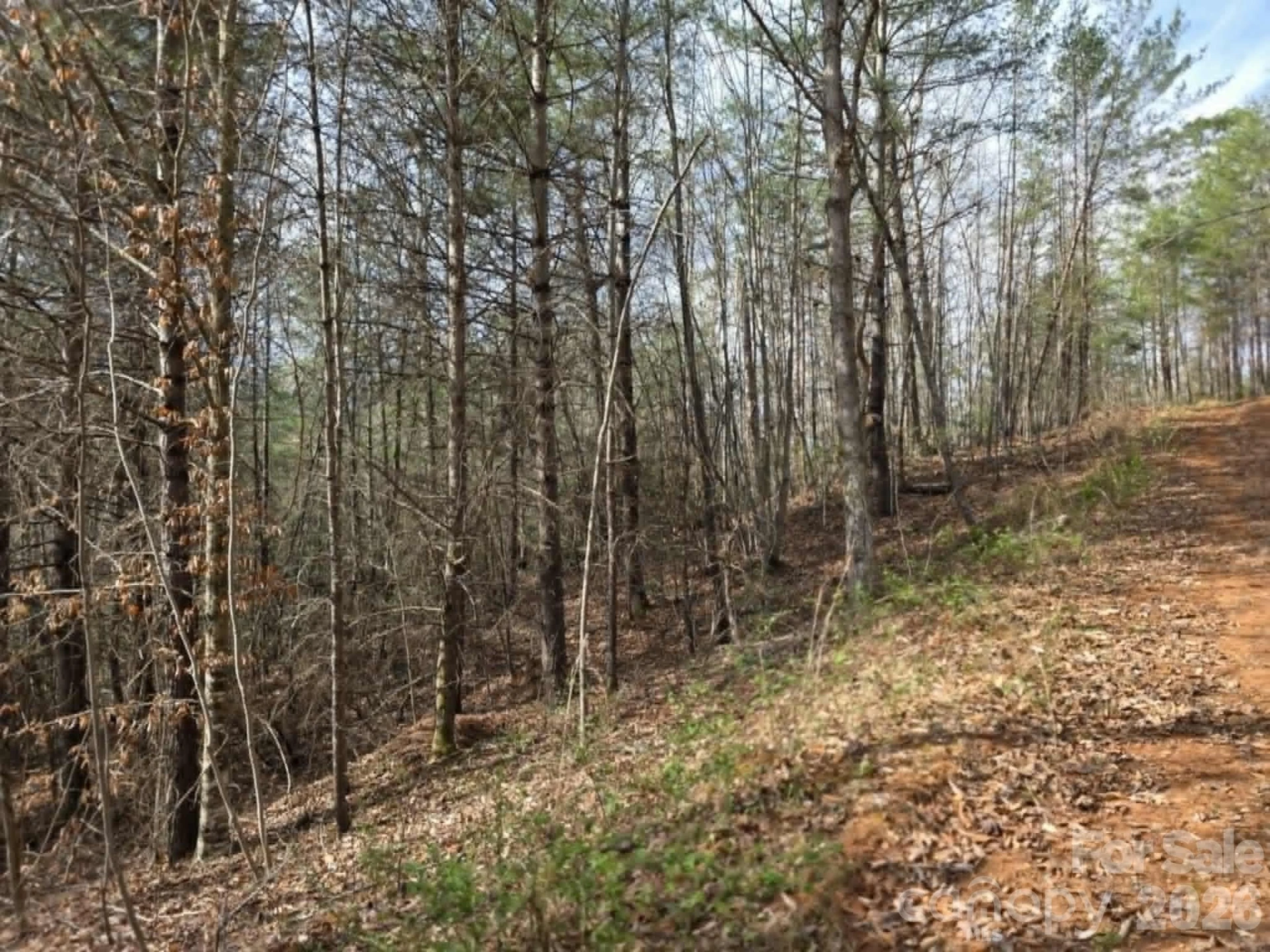 Lot 4 Kerlee Lane - Photo 5