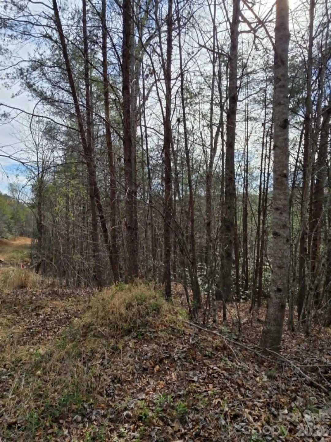Lot 4 Kerlee Lane - Photo 6