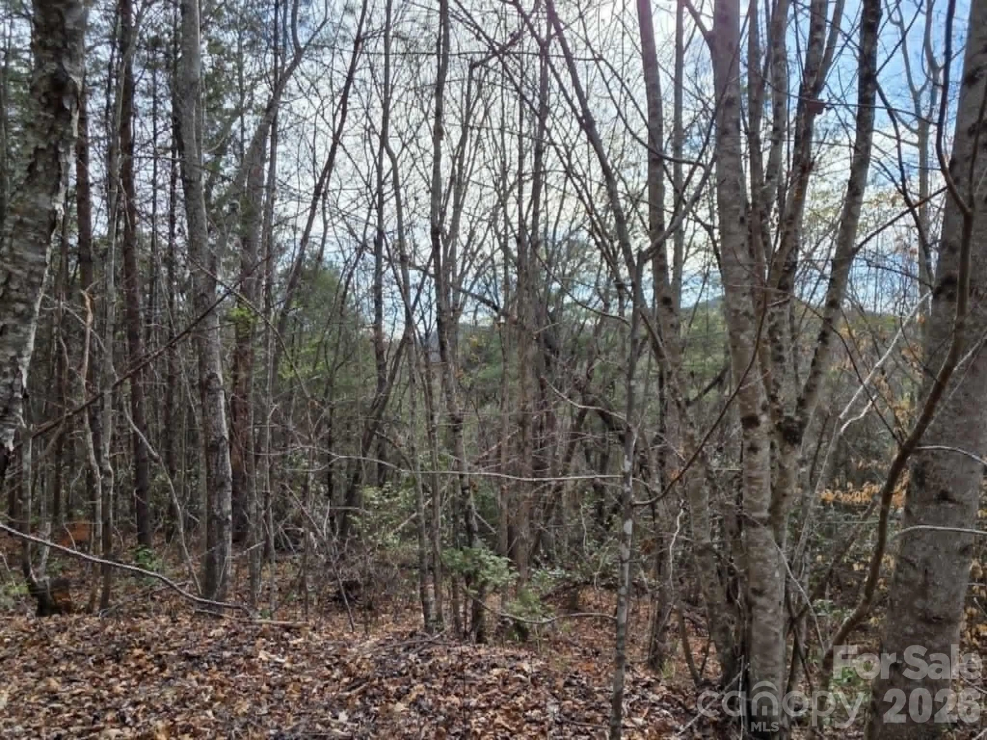 Lot 4 Kerlee Lane - Photo 7
