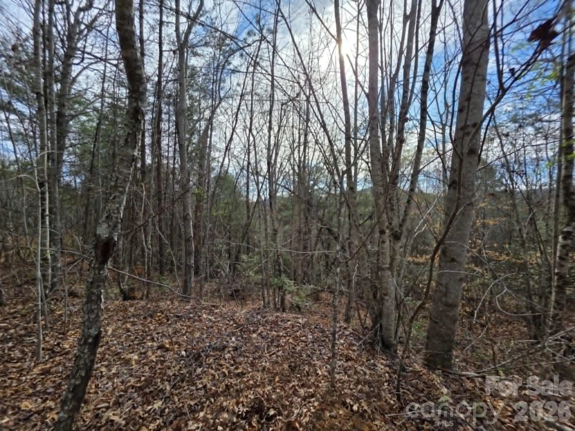 Lot 4 Kerlee Lane - Photo 8