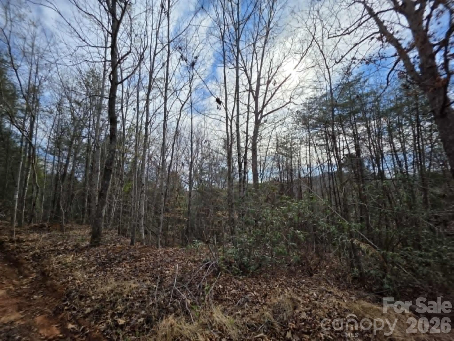 Lot 4 Kerlee Lane - Photo 9