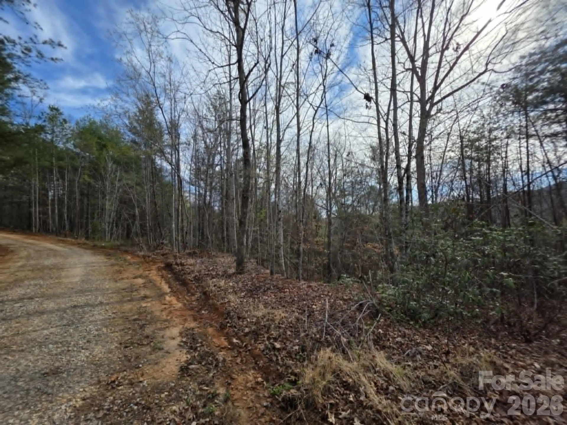 Lot 4 Kerlee Lane - Photo 10