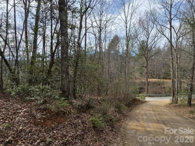 Lot 1 Kerlee Lane, Old Fort, NC, 28762