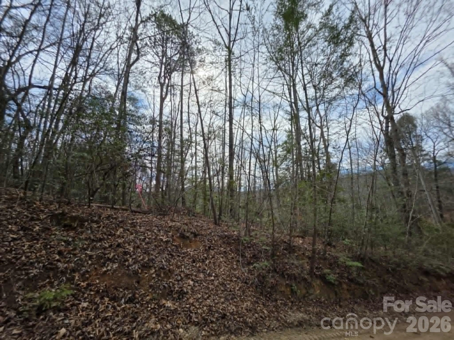 Lot 1 Kerlee Lane - Photo 3