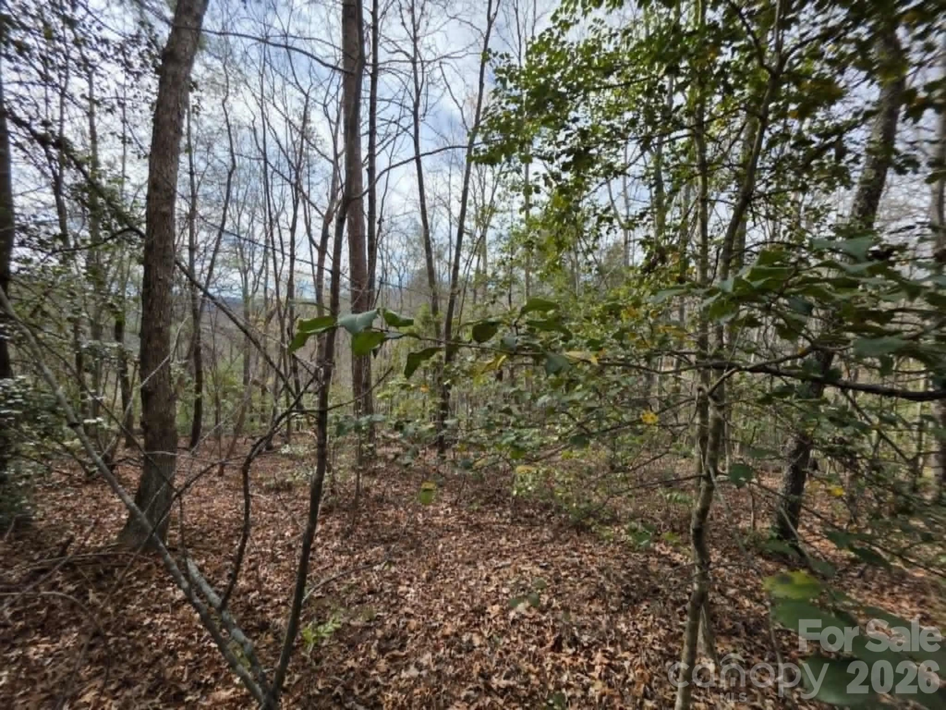 Lot 1 Kerlee Lane - Photo 4