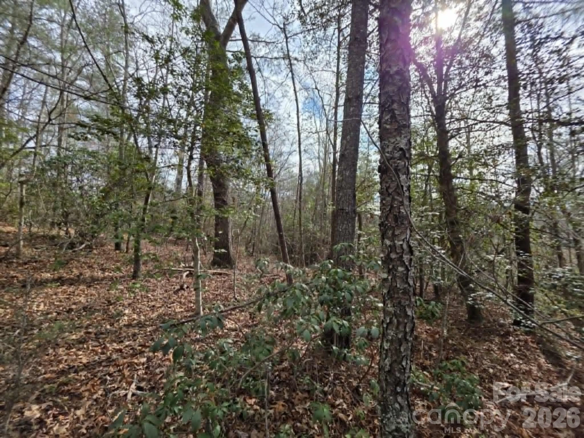 Lot 1 Kerlee Lane - Photo 5