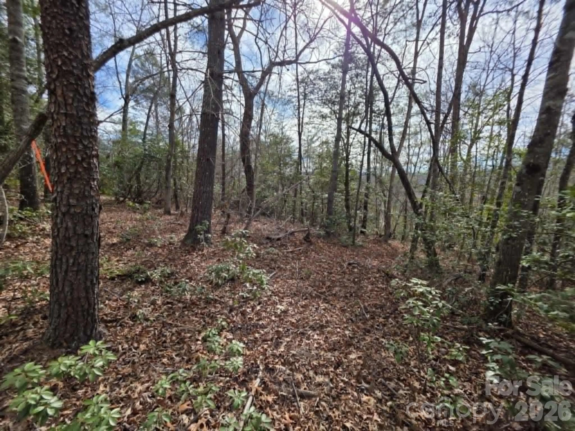 Lot 1 Kerlee Lane - Photo 7