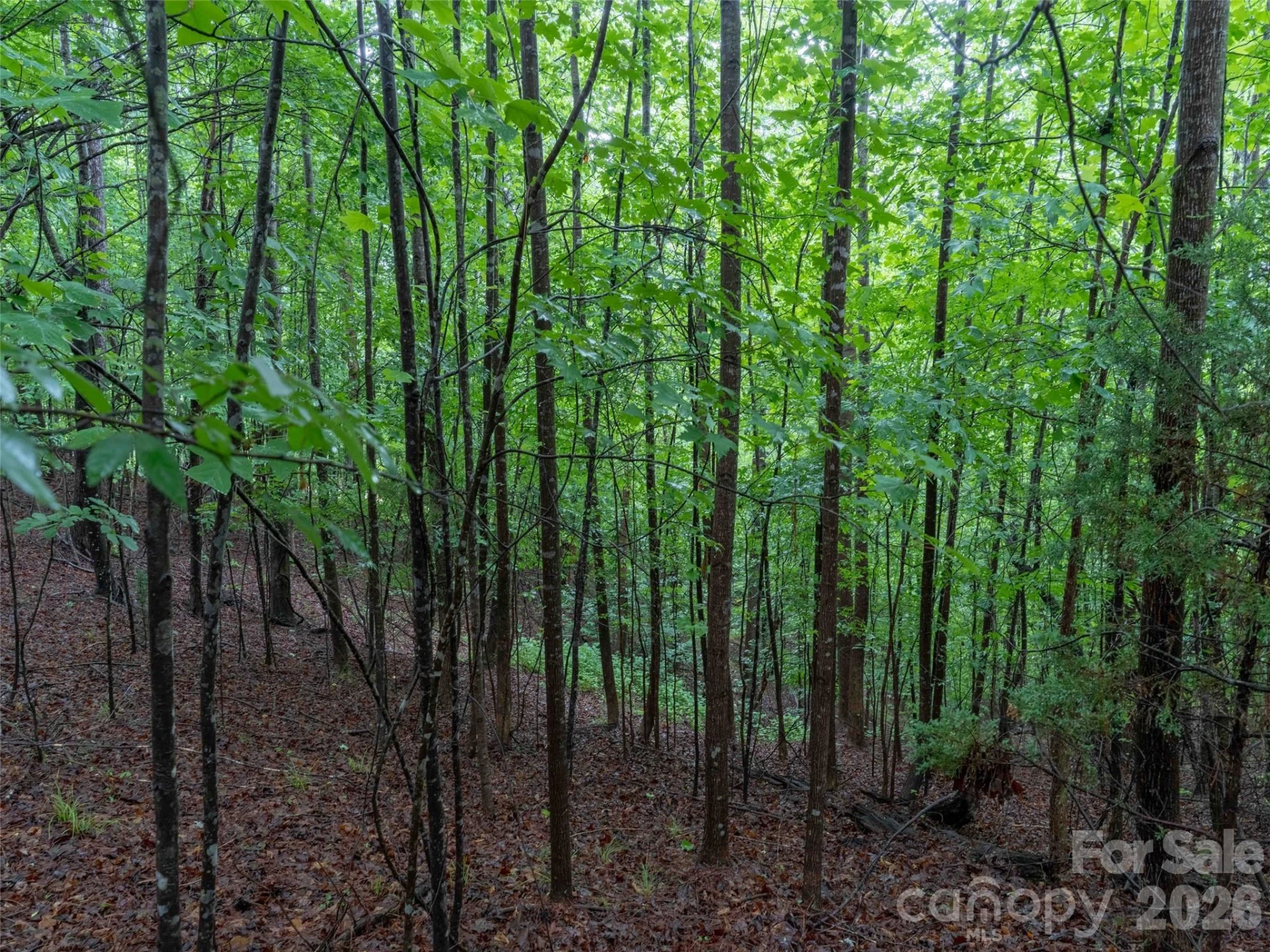 00 Bee Gee Lane - Photo 11