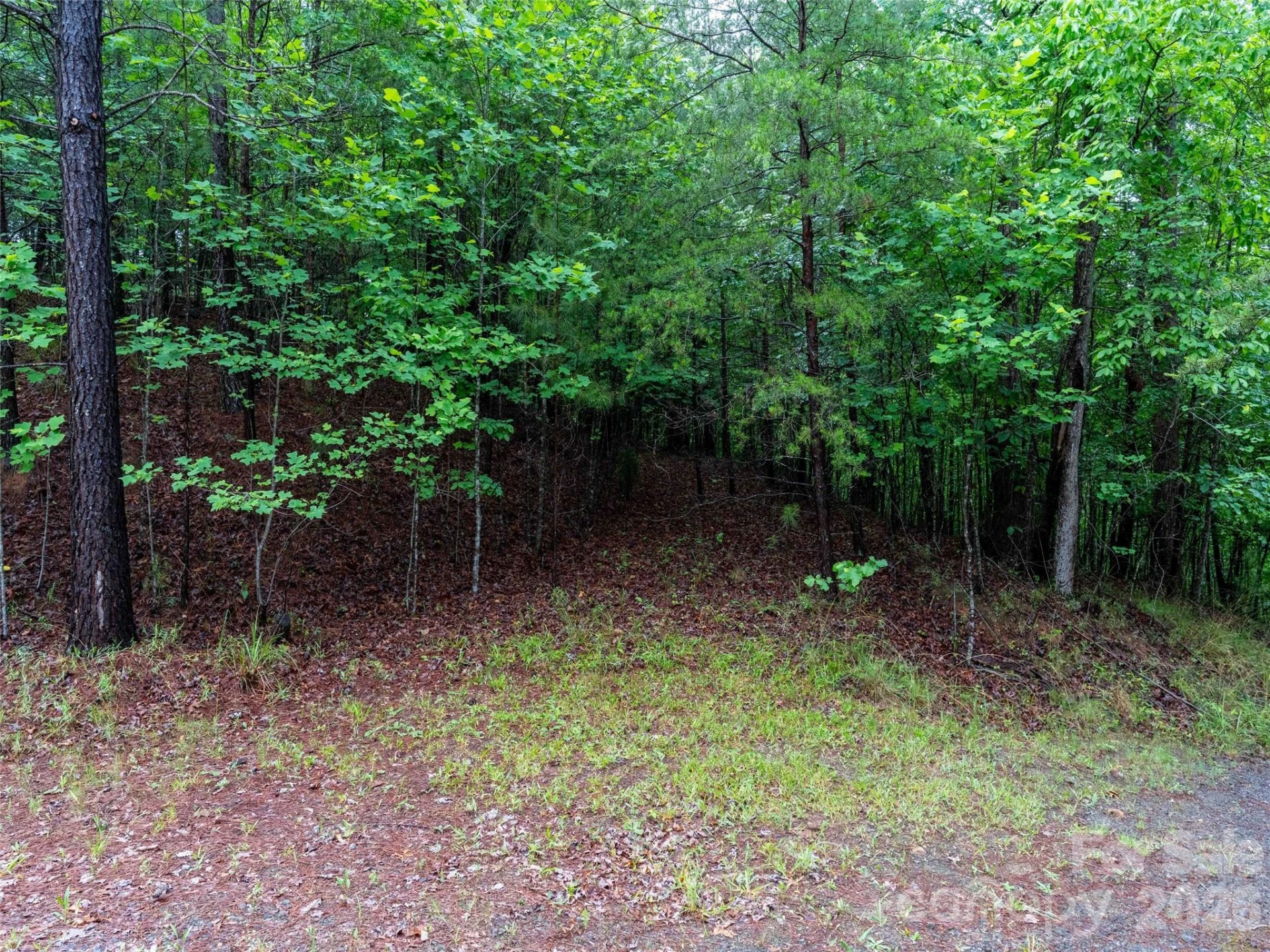 00 Bee Gee Lane - Photo 12