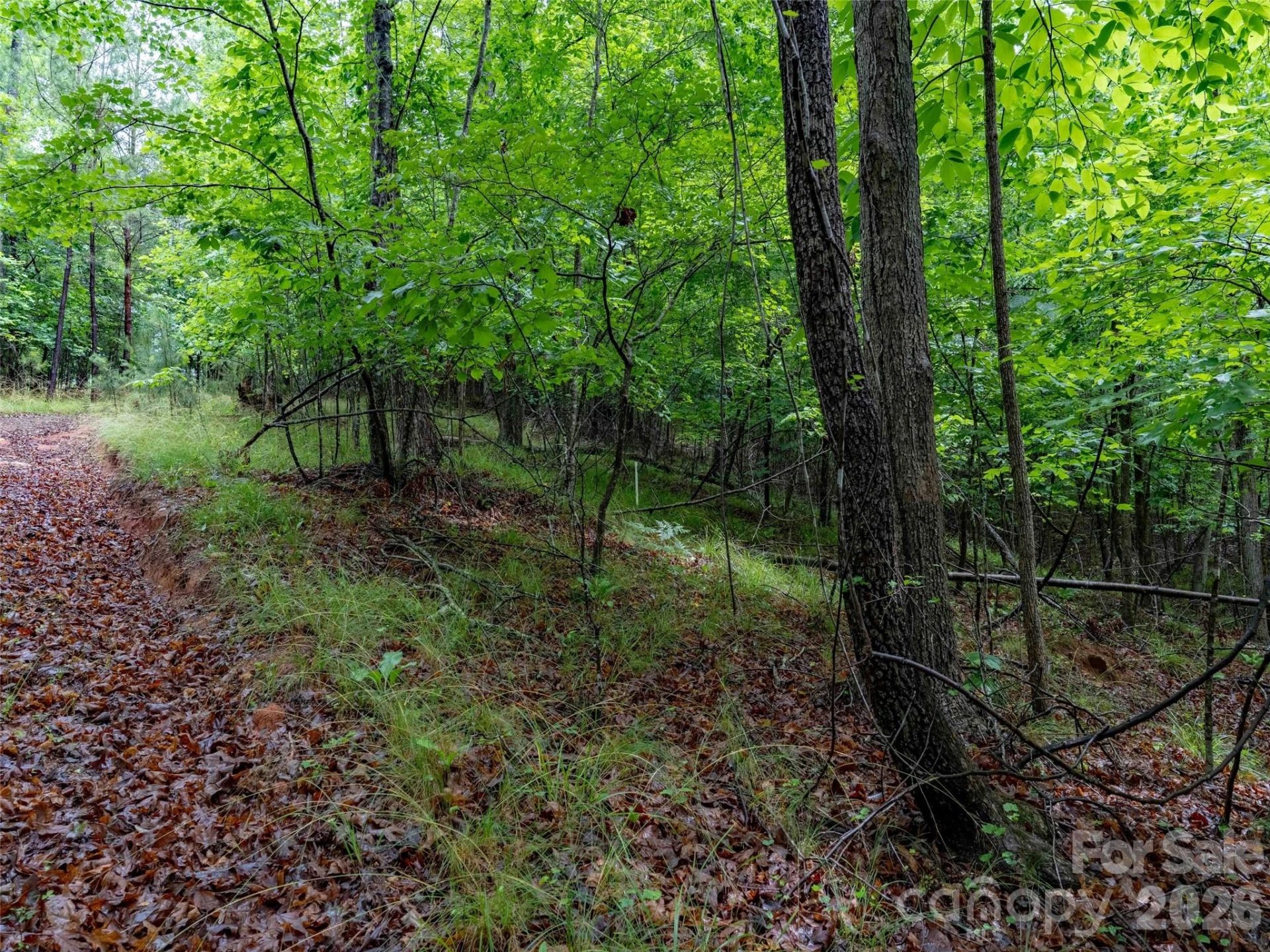 00 Bee Gee Lane - Photo 14