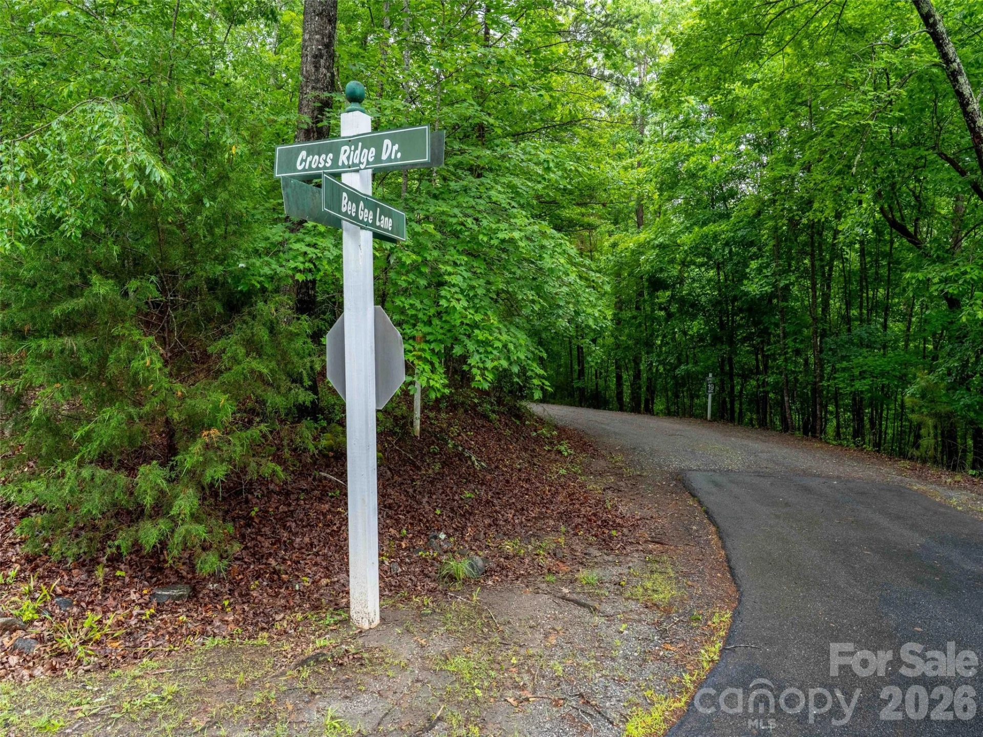 00 Bee Gee Lane - Photo 5