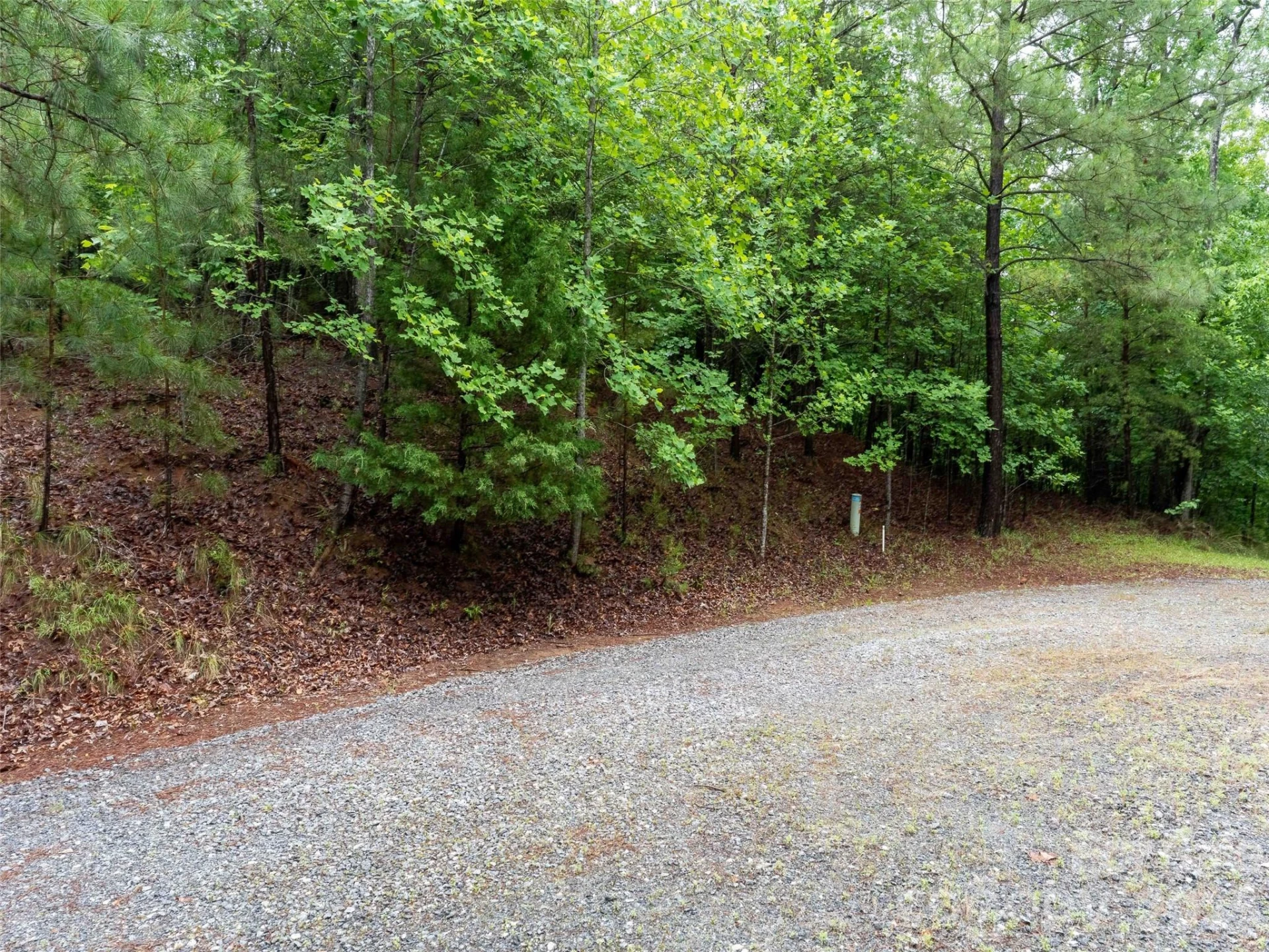 00 Bee Gee Lane - Photo 6