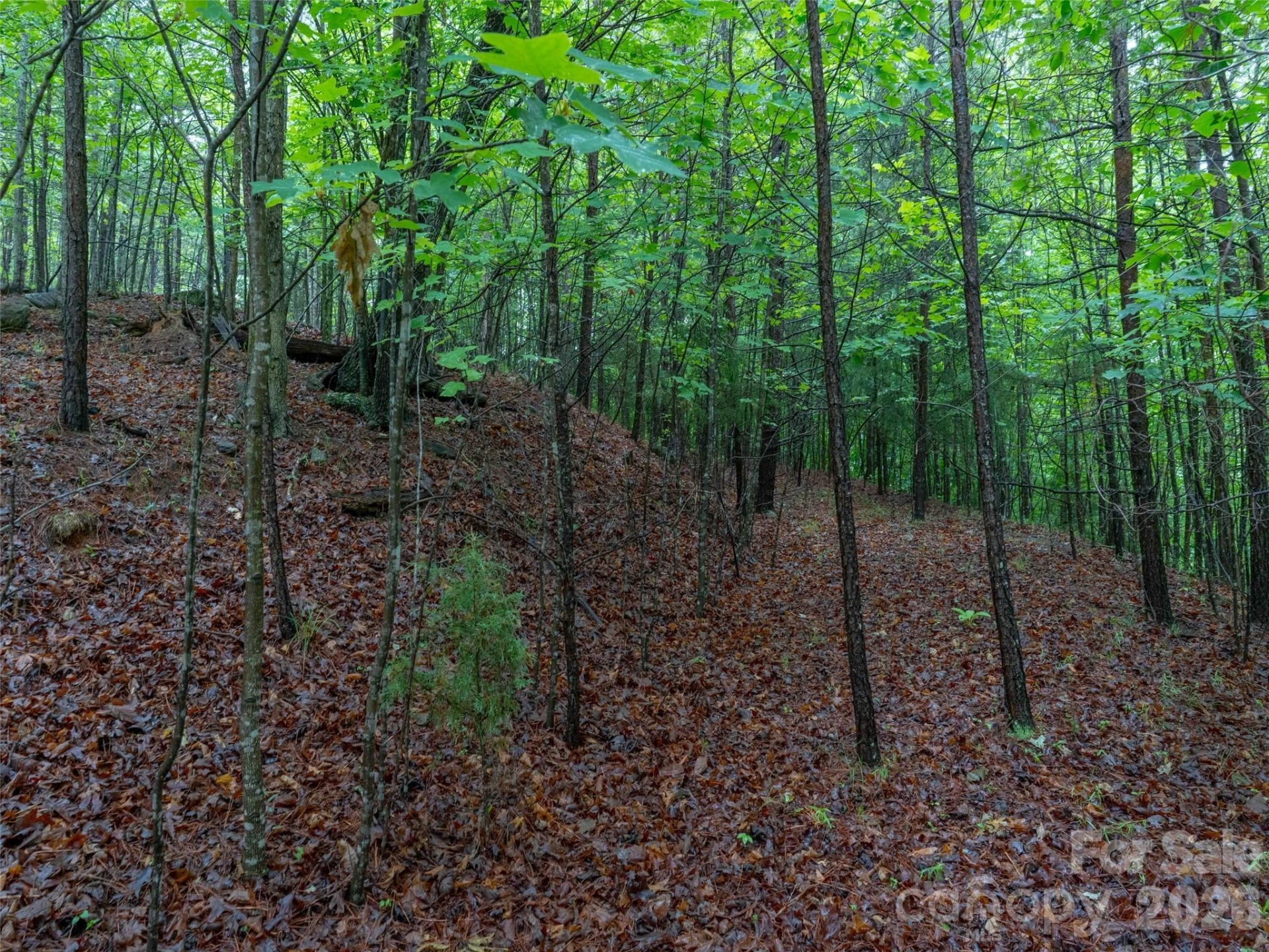 00 Bee Gee Lane - Photo 8
