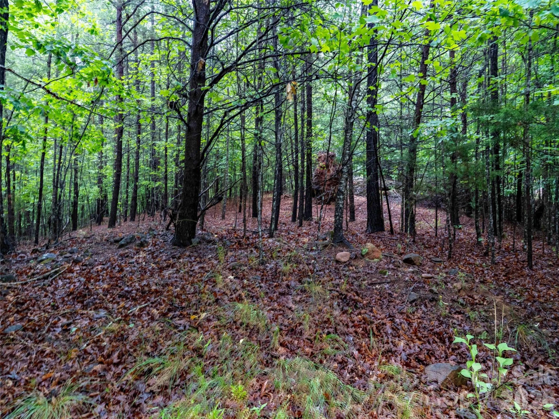 00 Bee Gee Lane - Photo 9