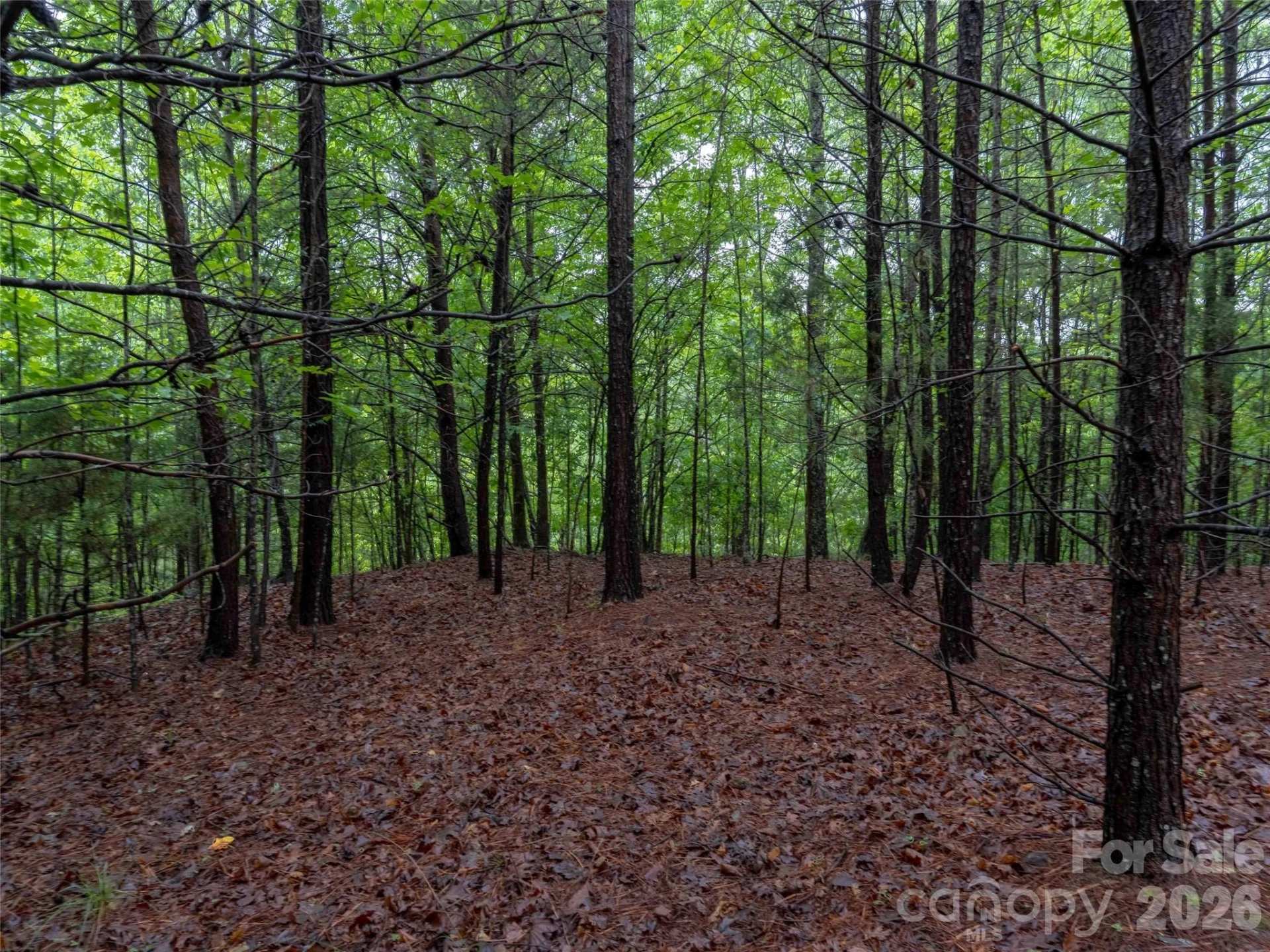 00 Bee Gee Lane - Photo 10