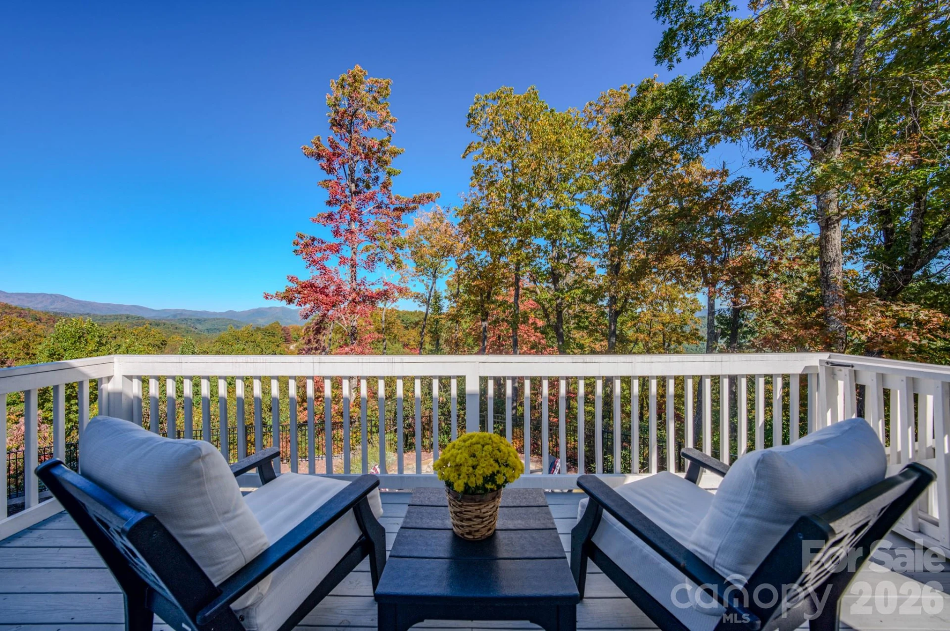 2488 Catawba Falls Parkway - Photo 17