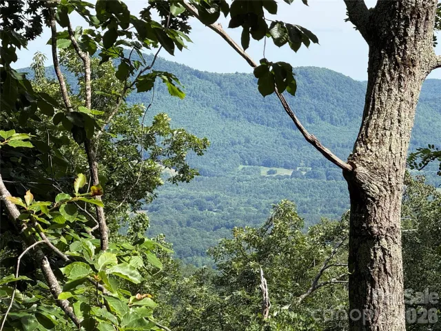 0 Arbra Mountain Way, Bostic, NC, 28018