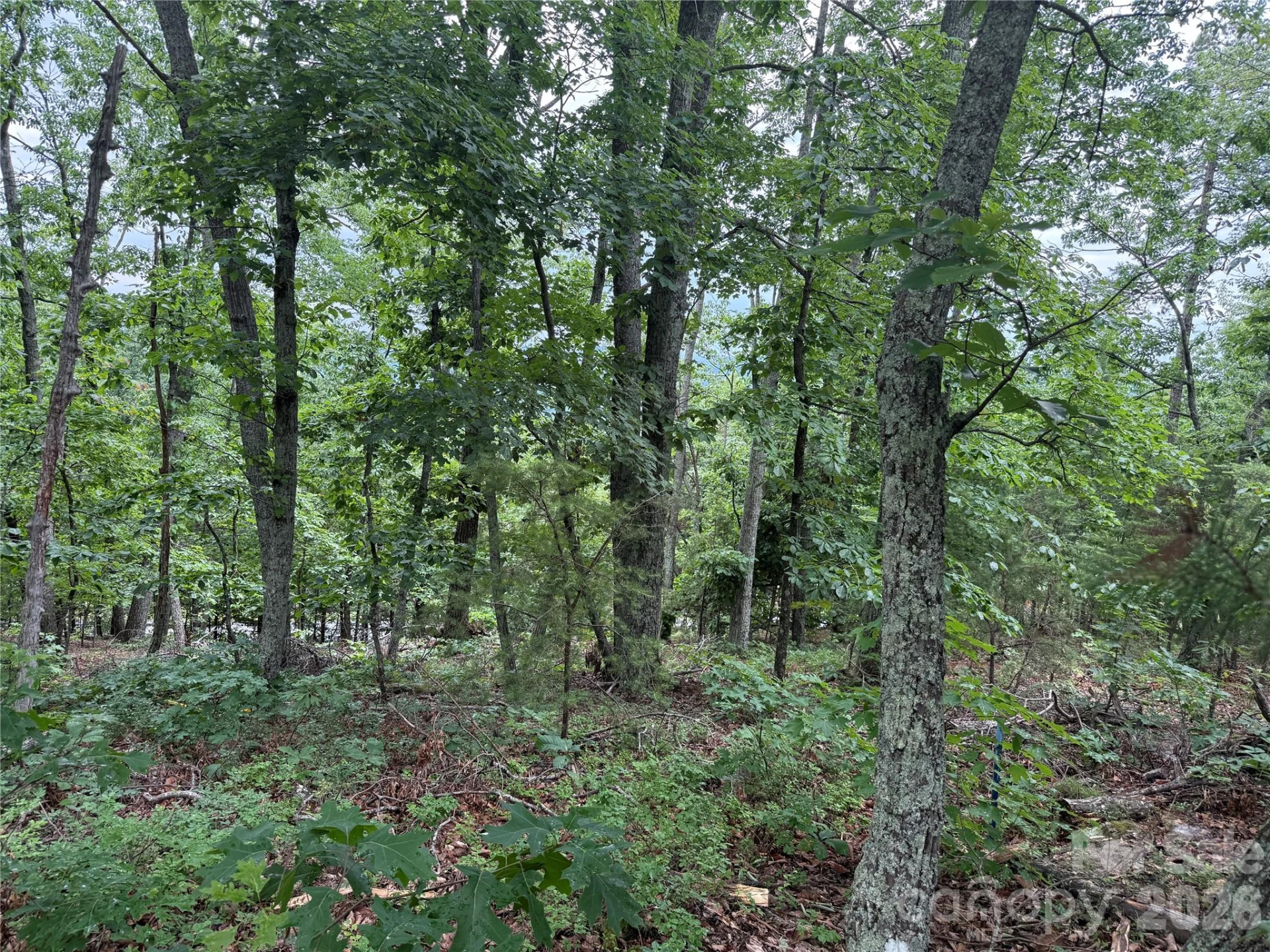 0 Arbra Mountain Way #54 - Photo 4