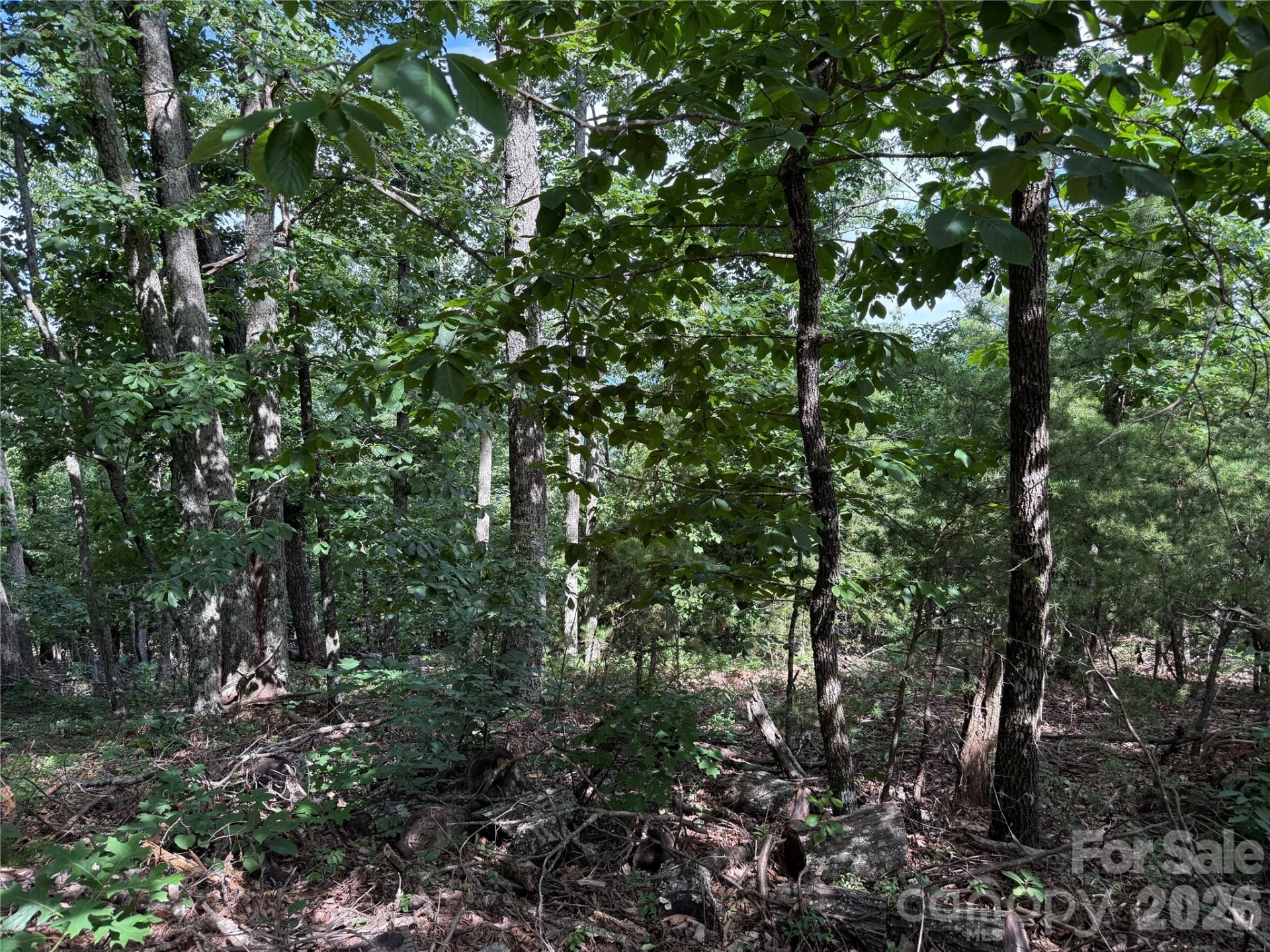 0 Arbra Mountain Way #54 - Photo 7
