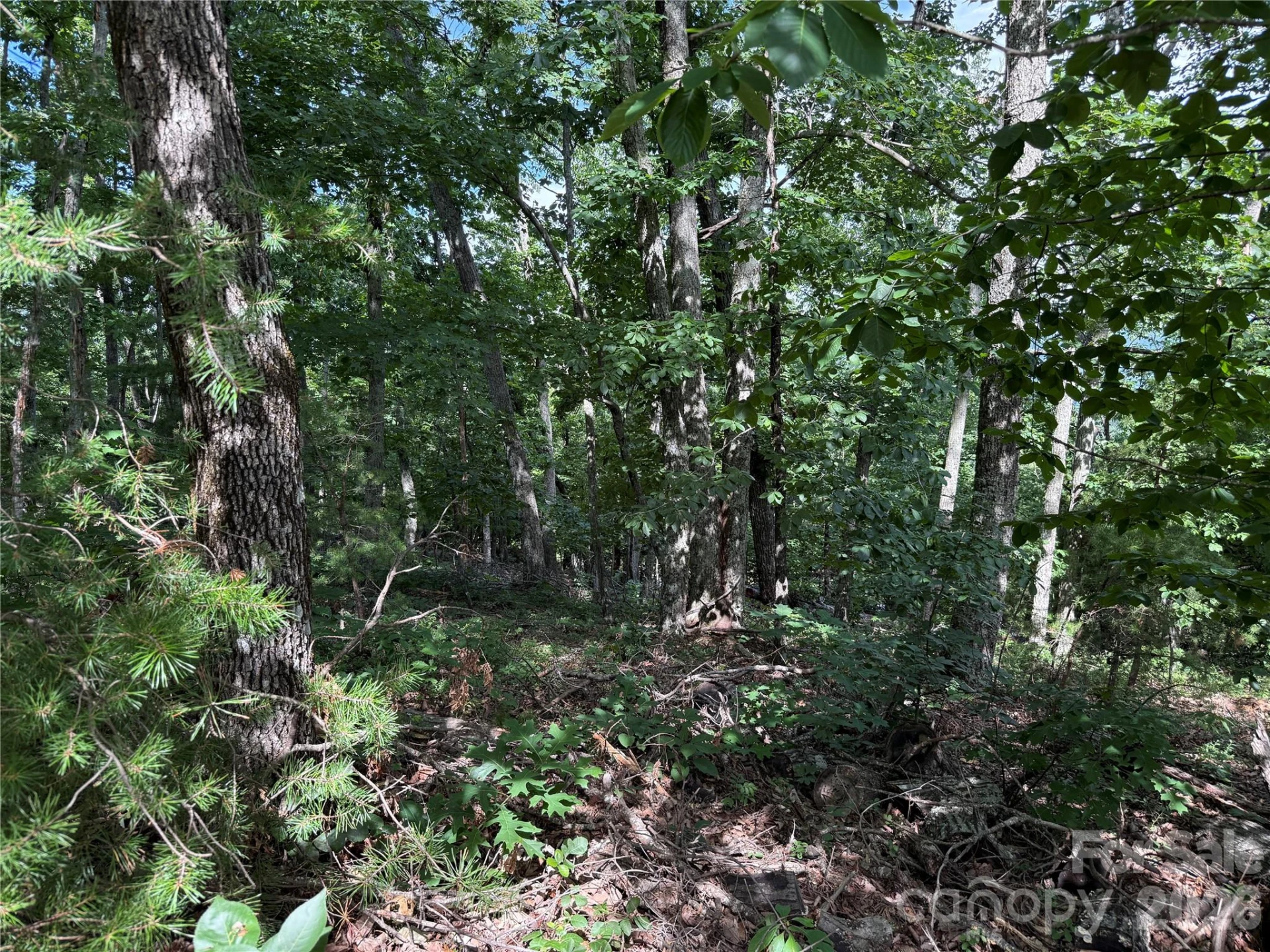 0 Arbra Mountain Way #54 - Photo 9