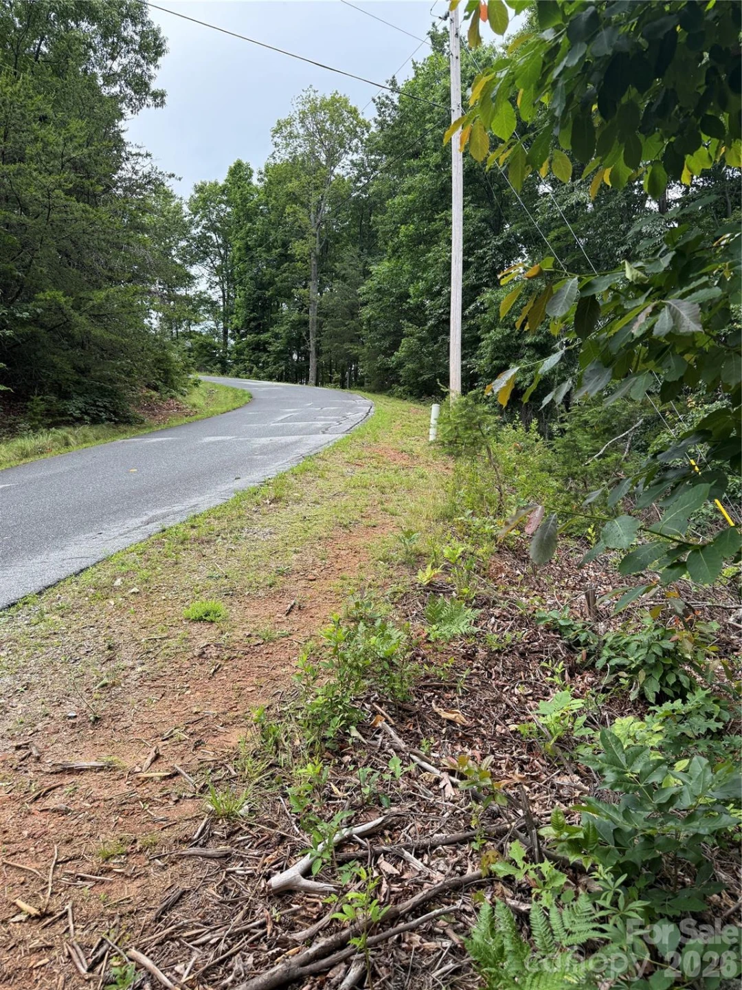 0 Arbra Mountain Way #54 - Photo 11