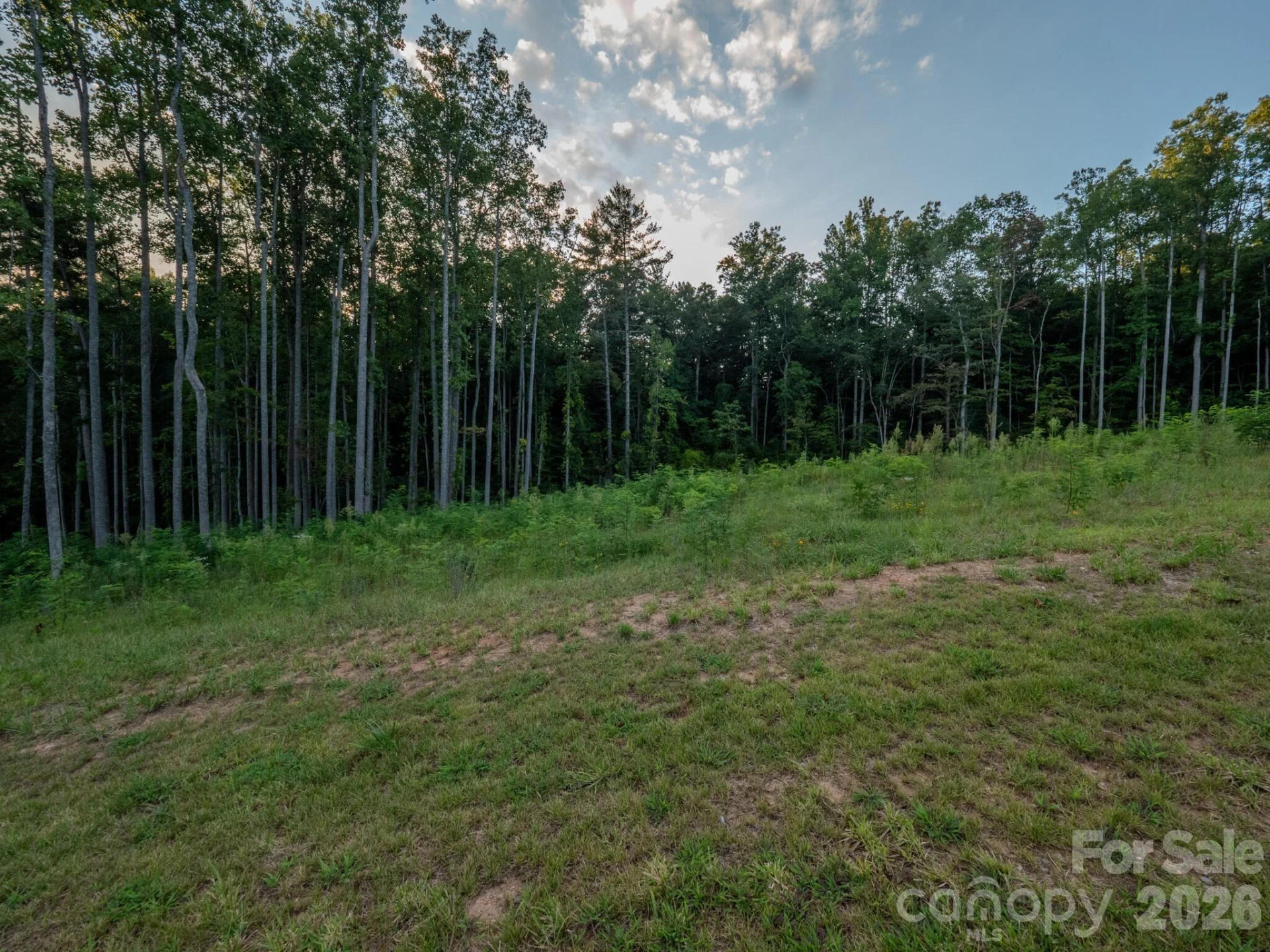 432 Irvine Drive - Photo 2
