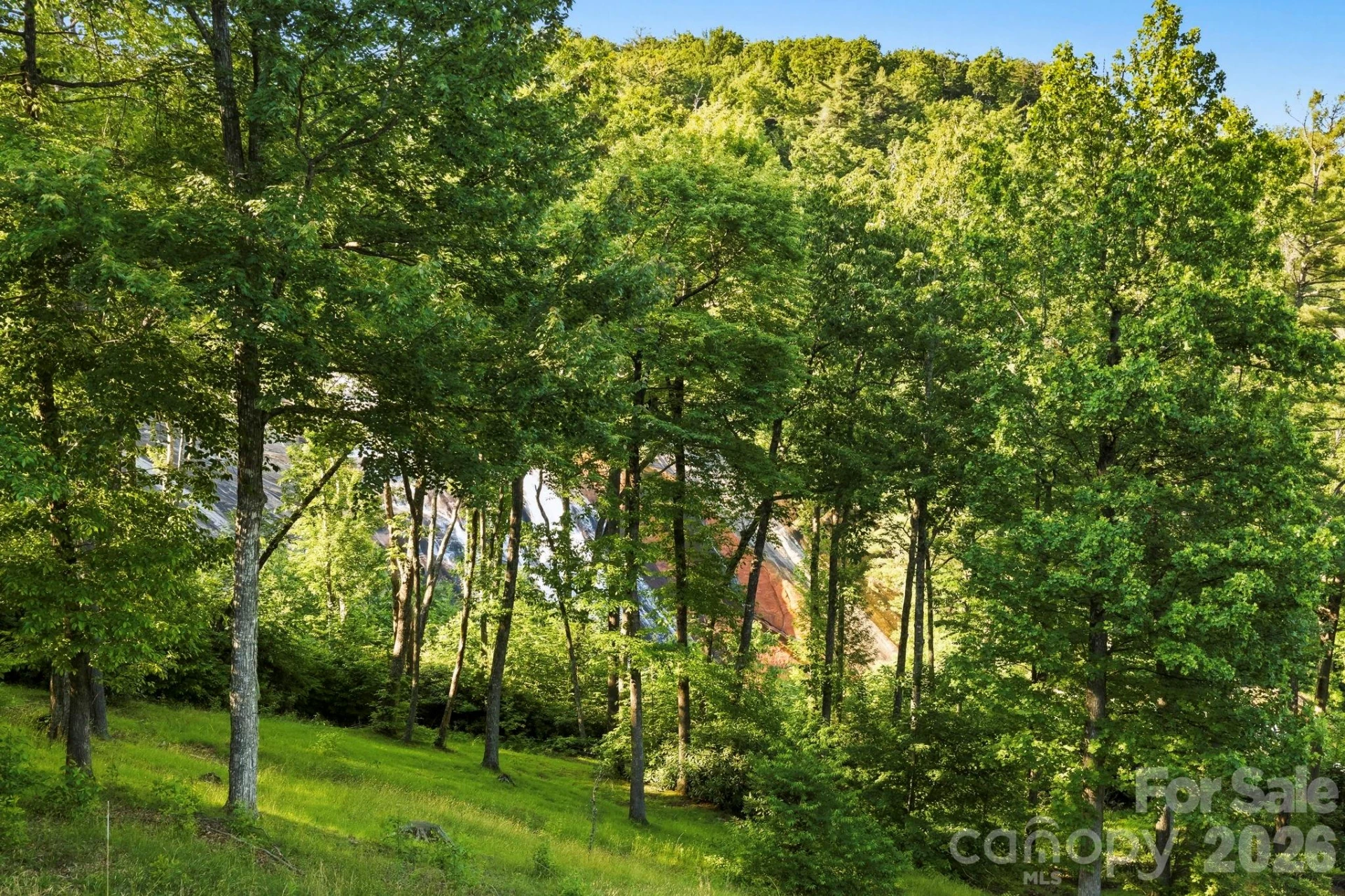 30 Lower Tanglewood Road E #2 - Photo 3