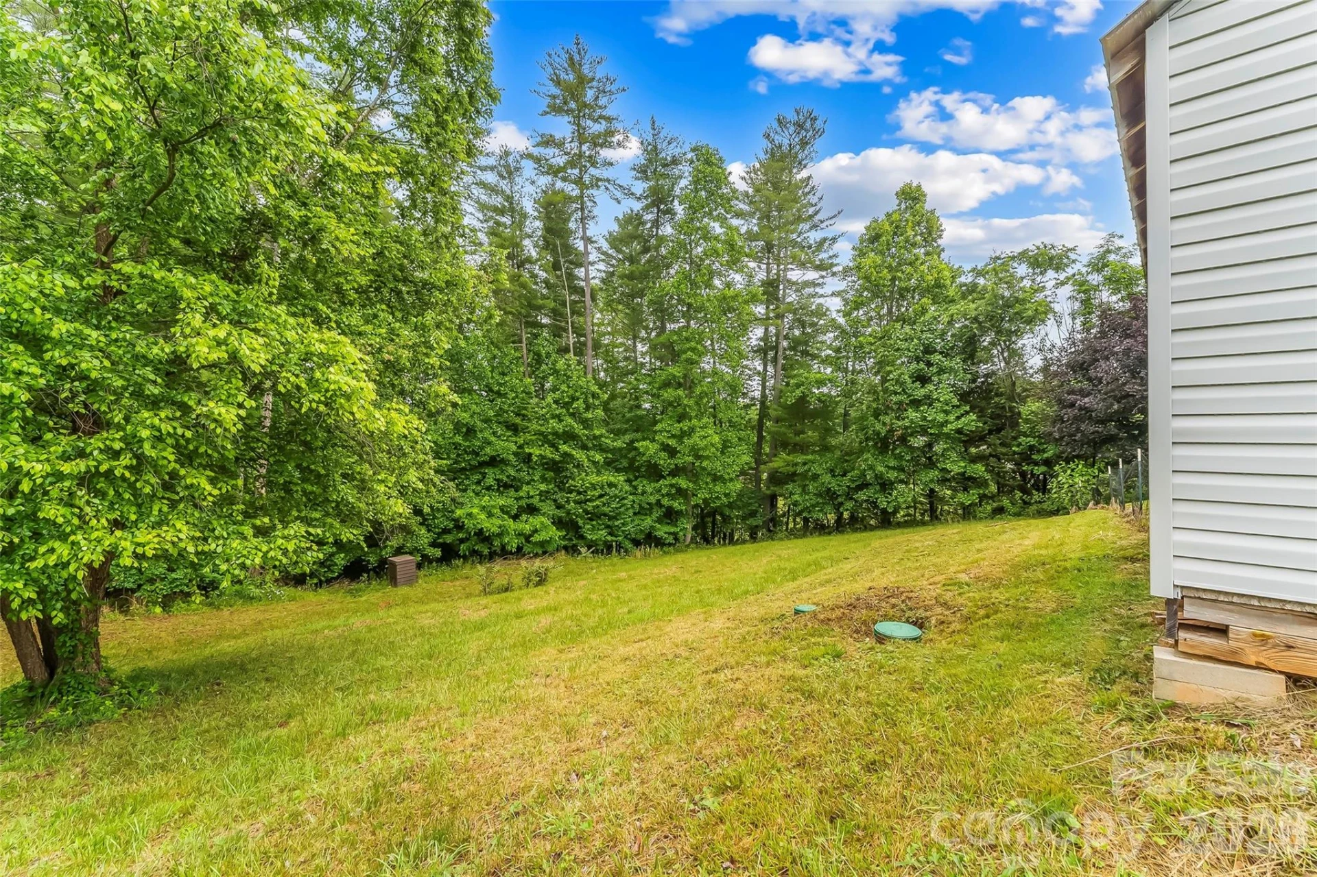 2610 Bear Creek Road - Photo 22