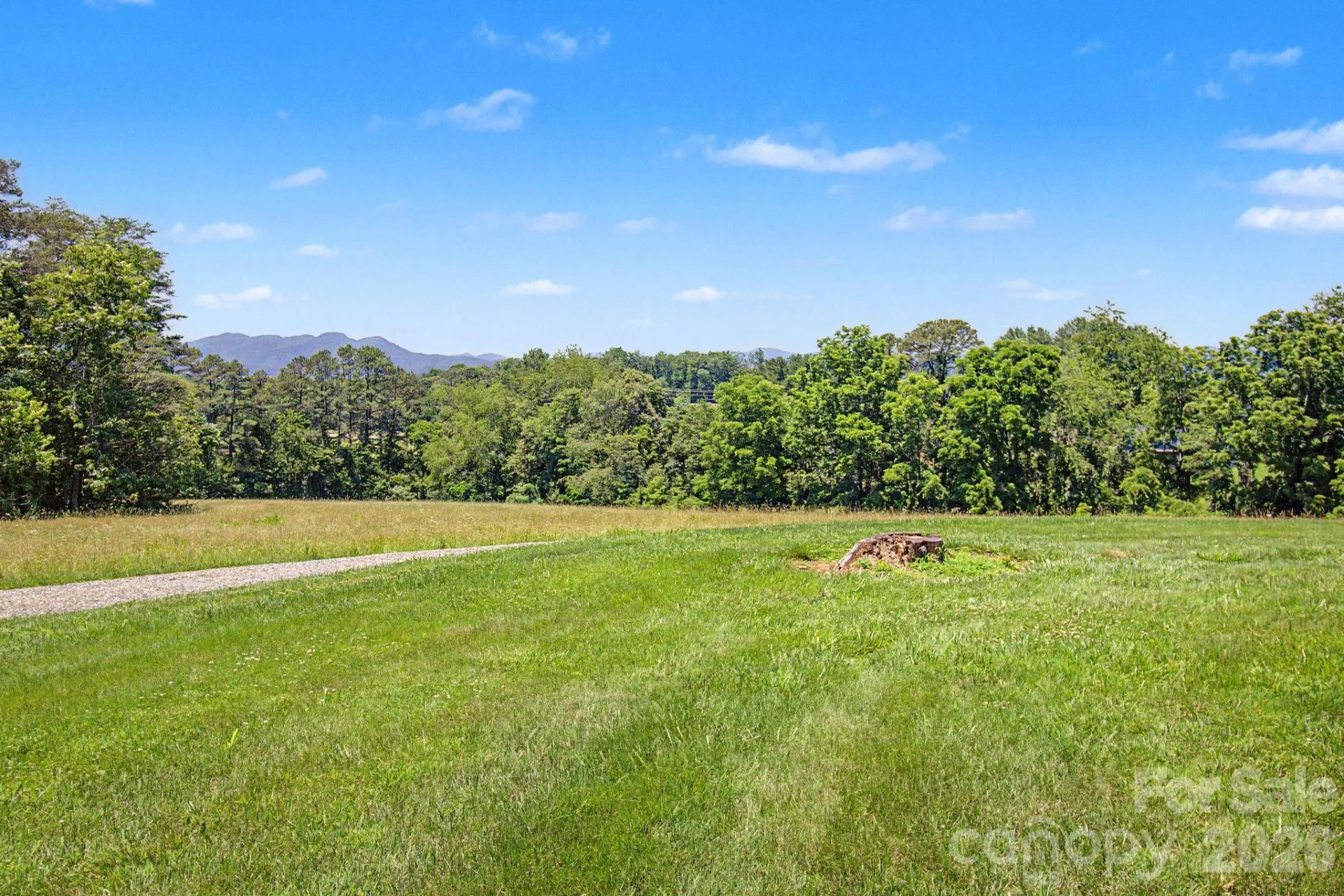 788 Alexander Road - Photo 19
