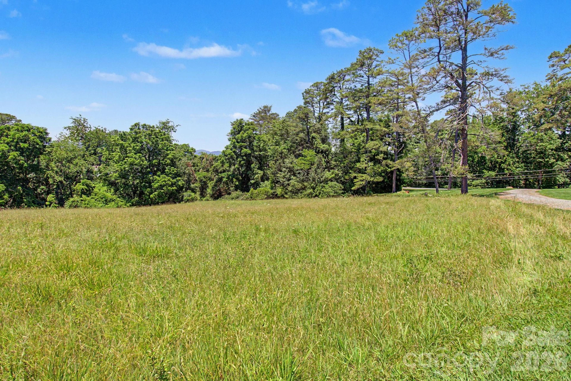 788 Alexander Road - Photo 10