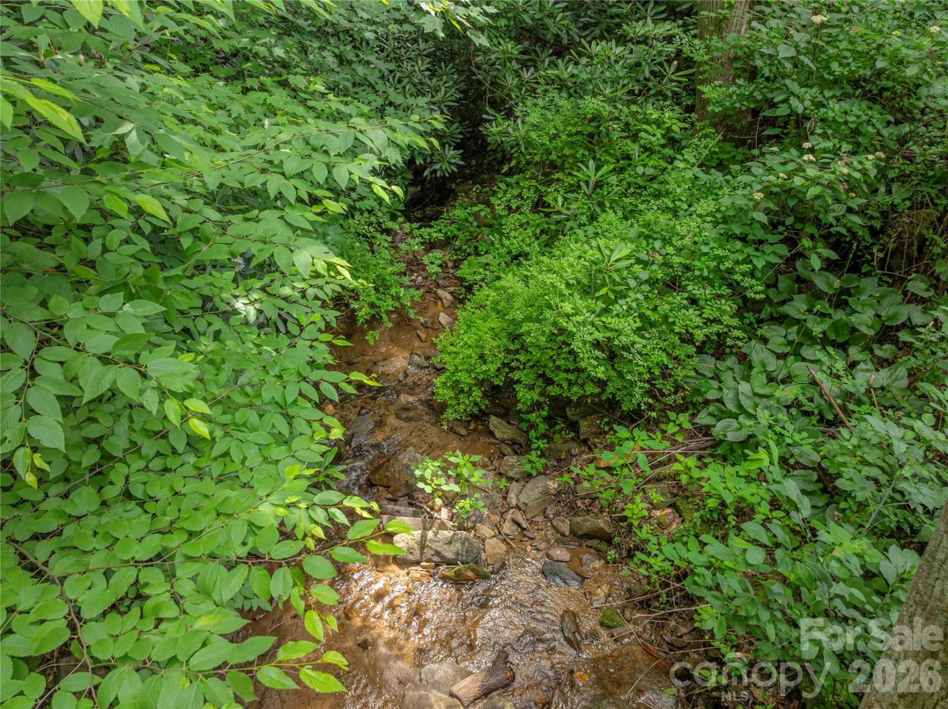 31 Granite Lane - Photo 17