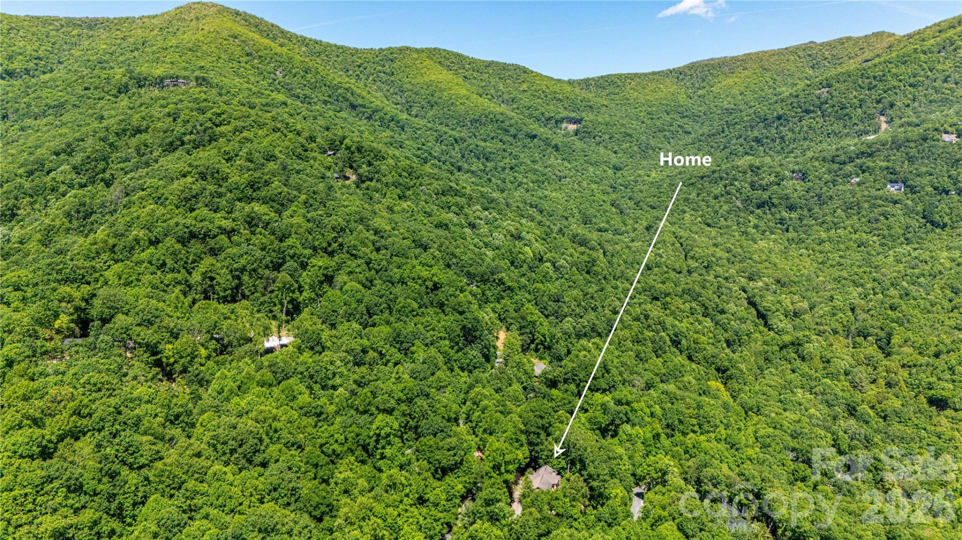 22 Great Aspen Way - Photo 34