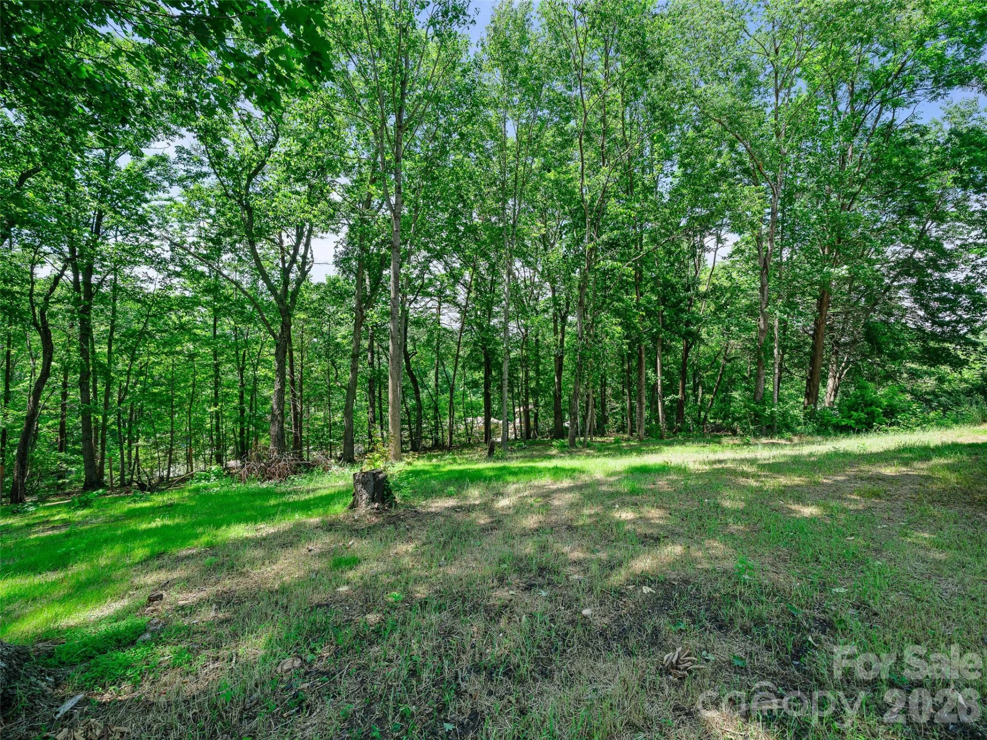 151 Mourning Dove Drive - Photo 20