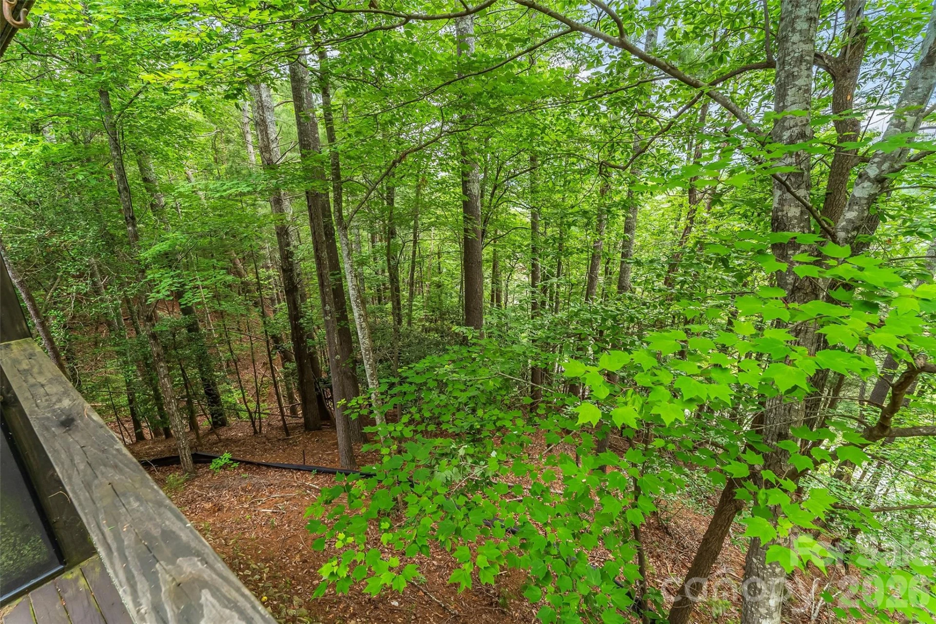 130 Settlement Ridge Drive #48 - Photo 19