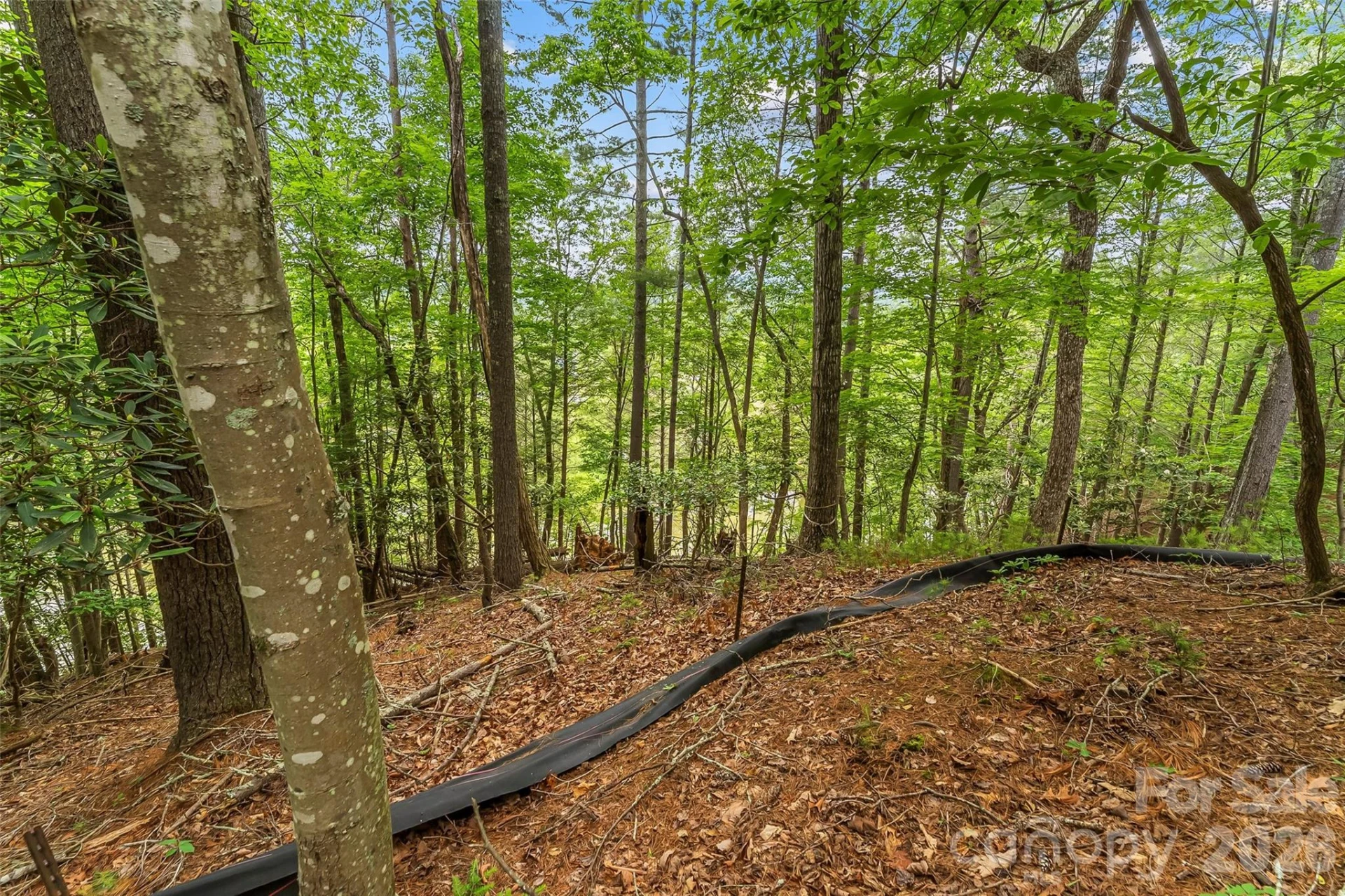 130 Settlement Ridge Drive #48 - Photo 22