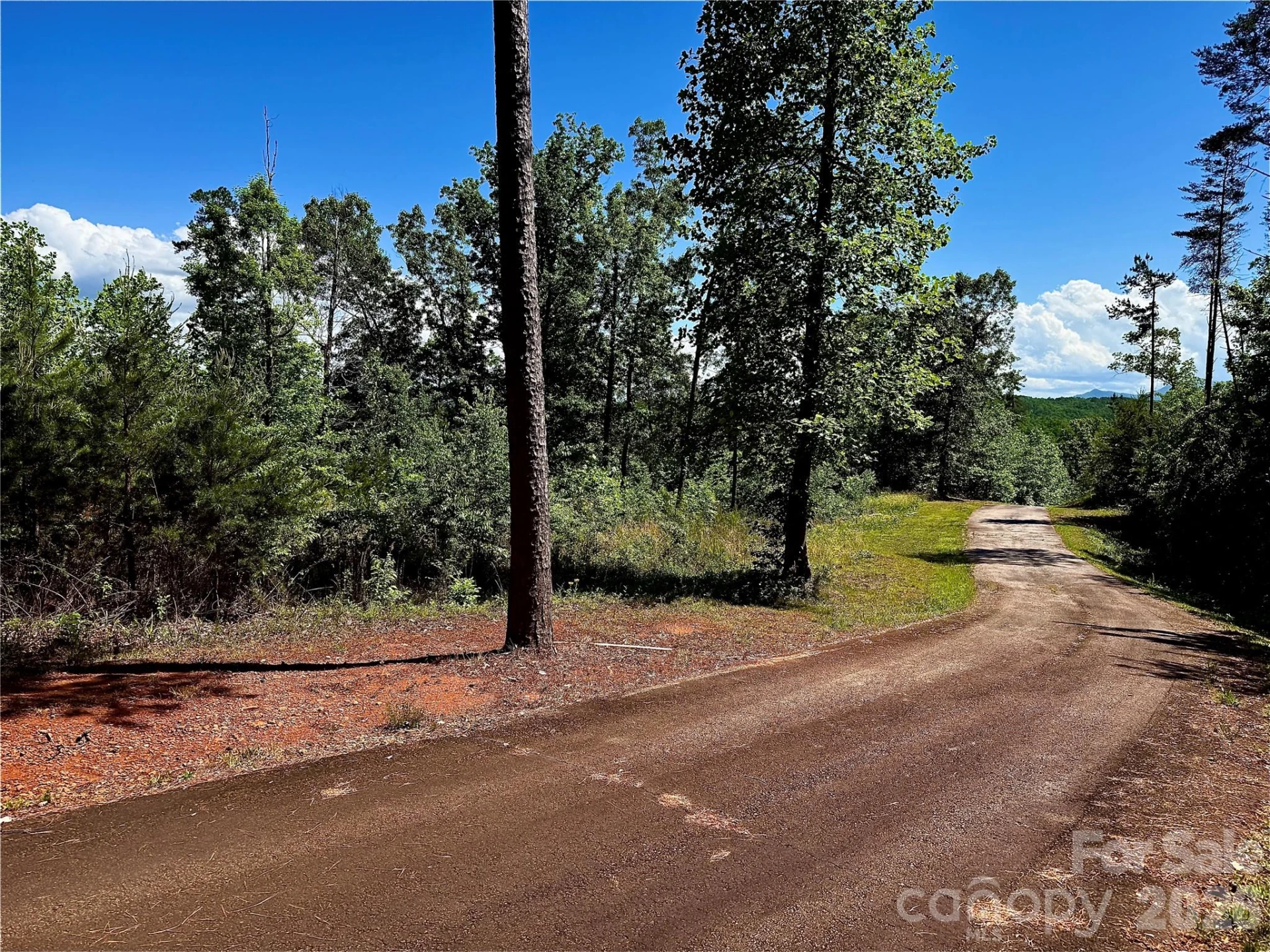 Lot 260 Rock Ledge Drive - Photo 4