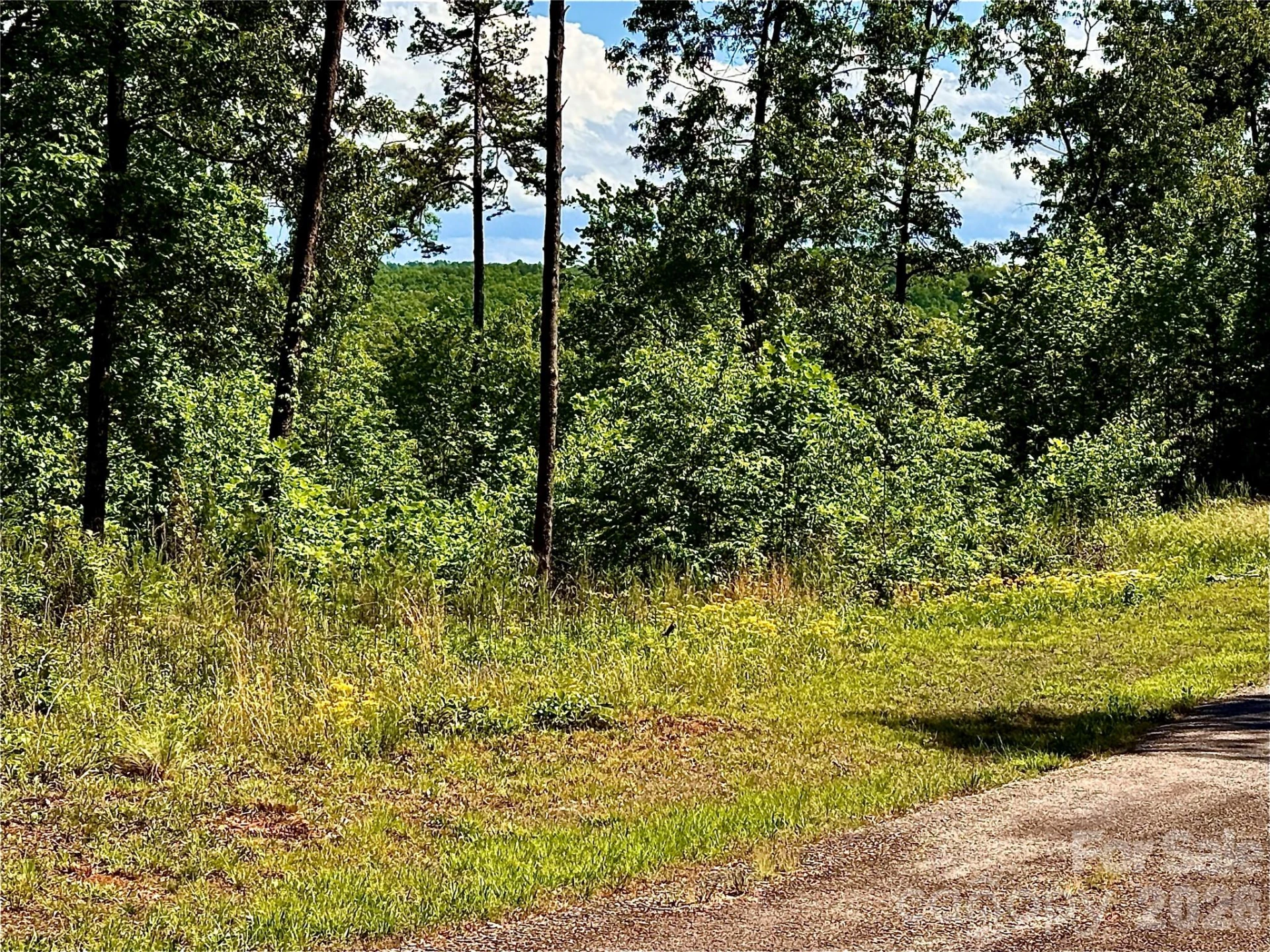 Lot 260 Rock Ledge Drive - Photo 5