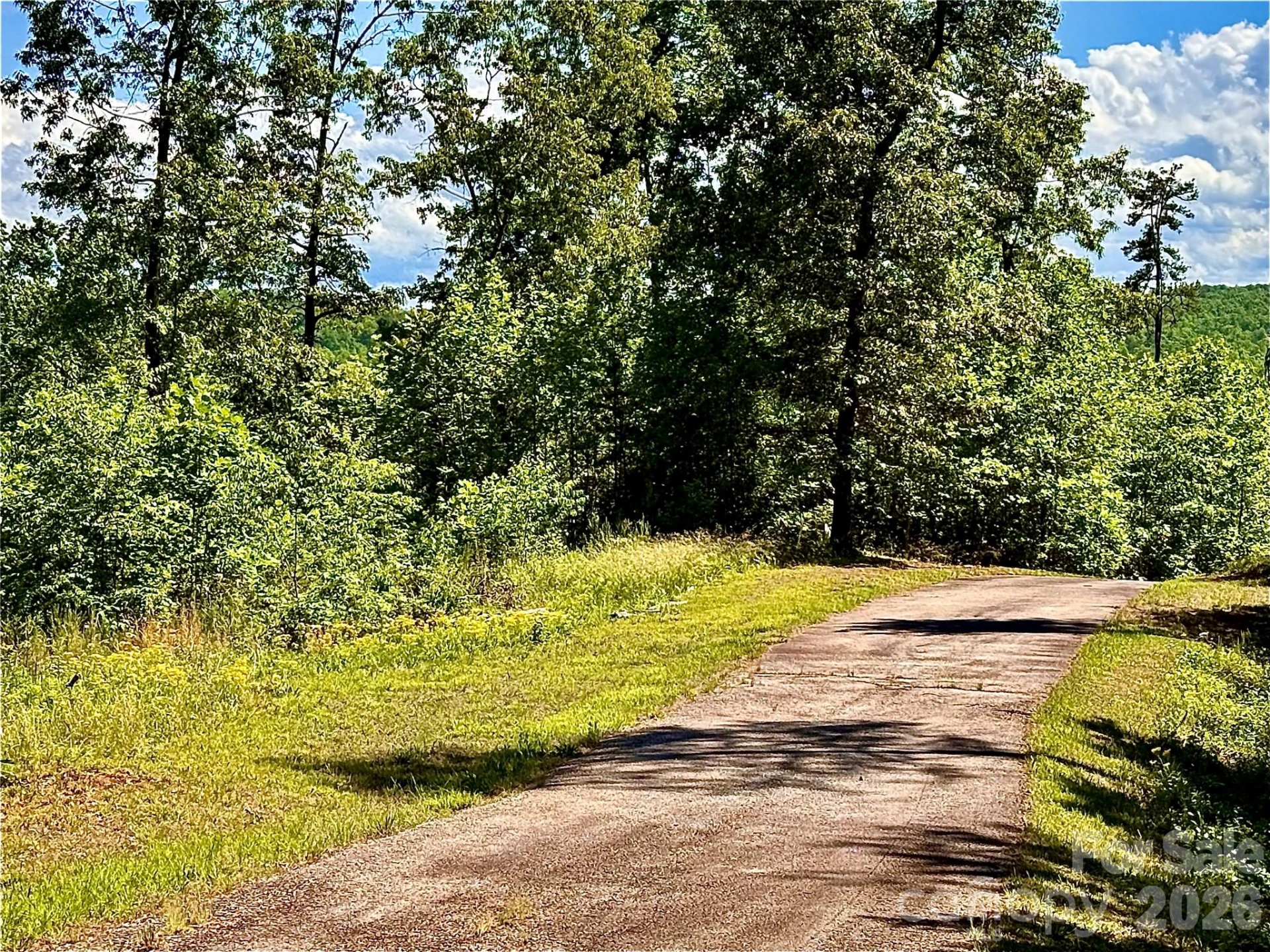 Lot 260 Rock Ledge Drive - Photo 6