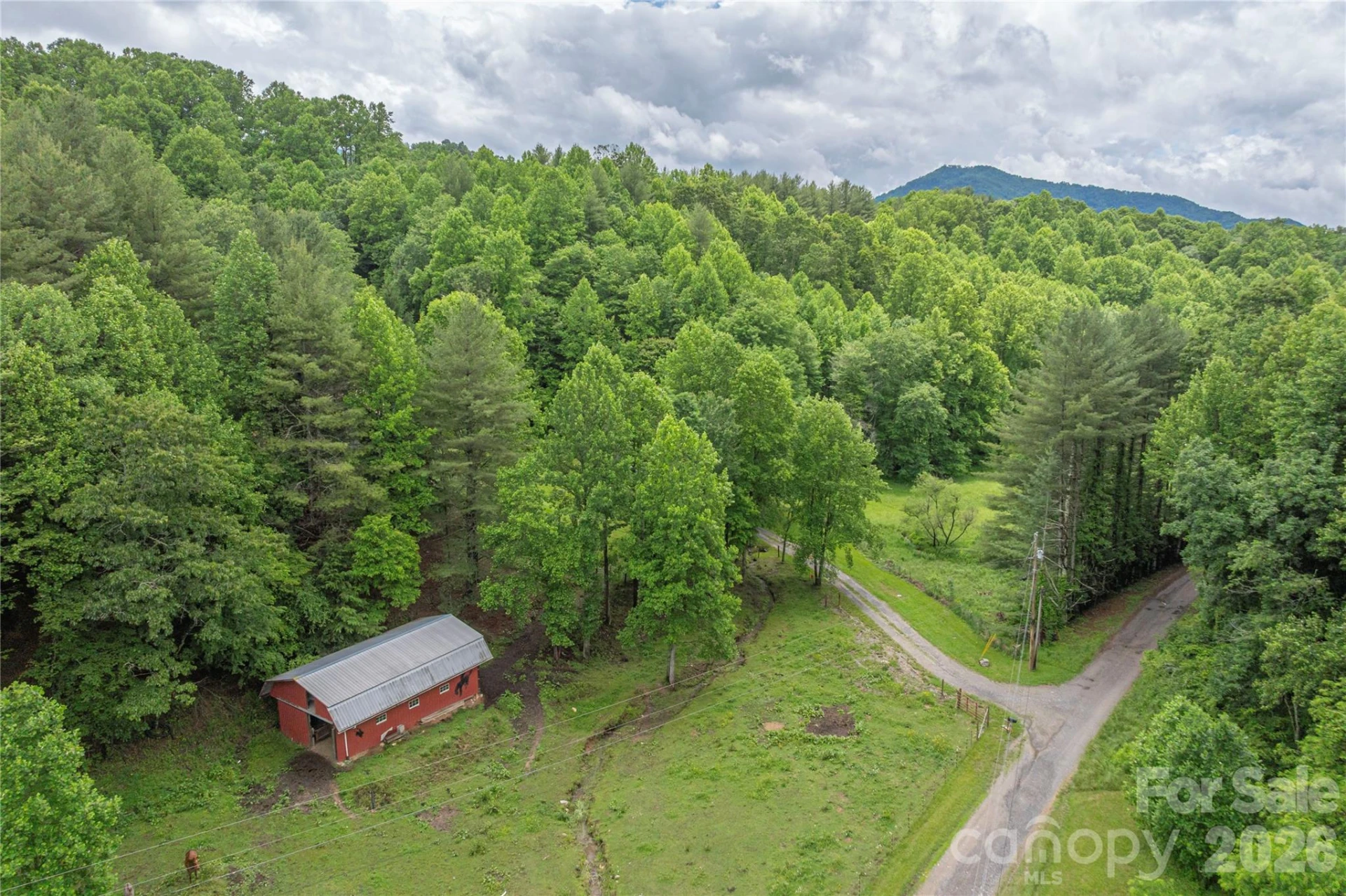 262 Gibson Branch Road - Photo 44