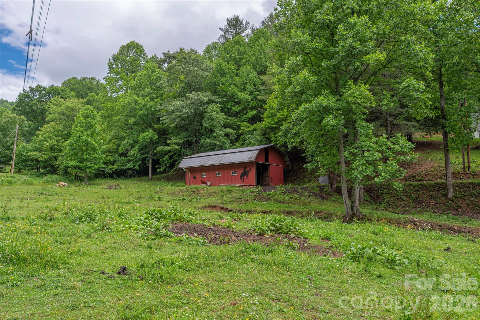 262 Gibson Branch Road - Photo 46