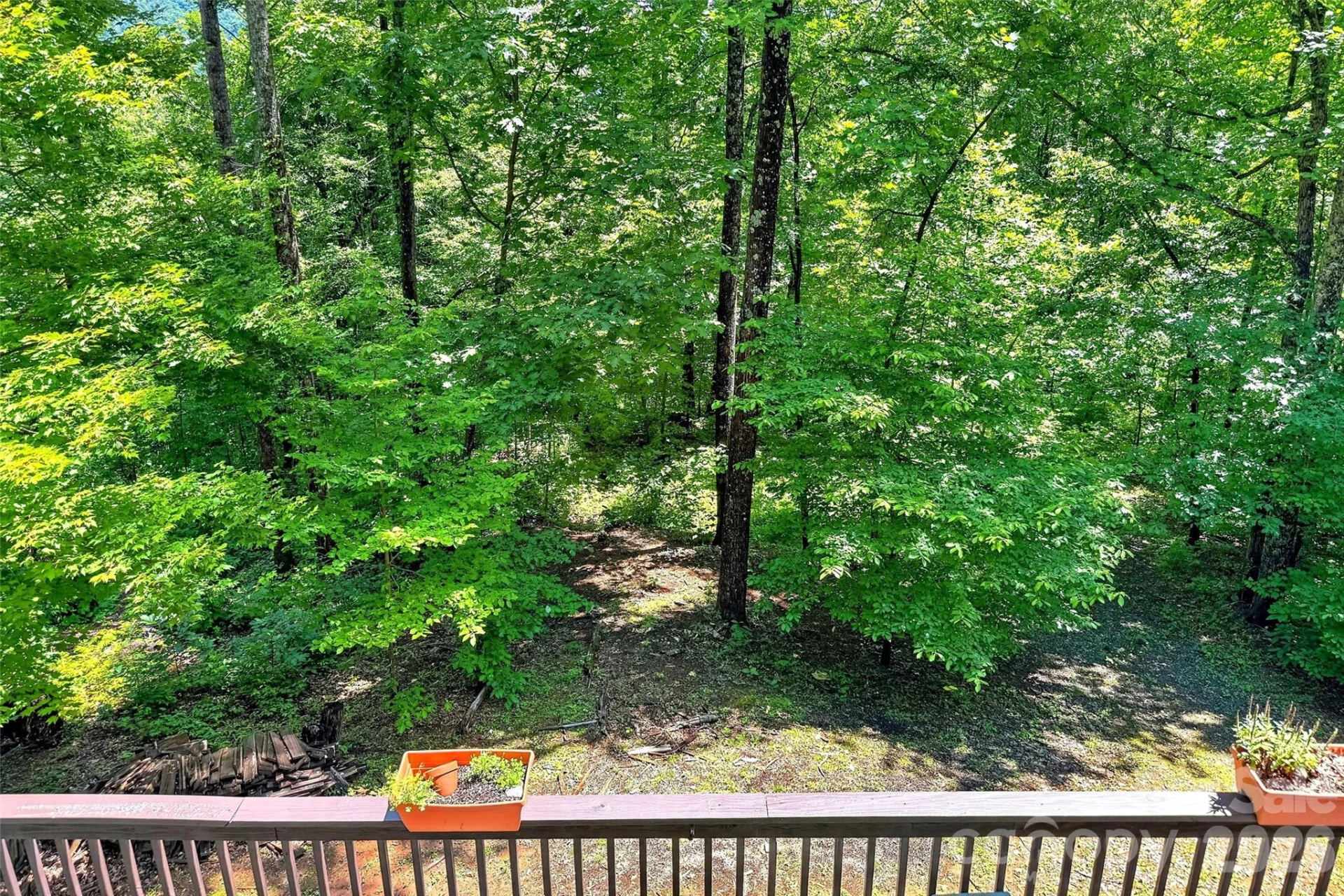 1828 McKenzie Way S - Photo 5