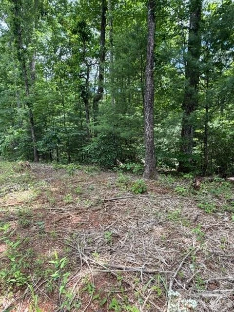 0 Country Way - Photo 5