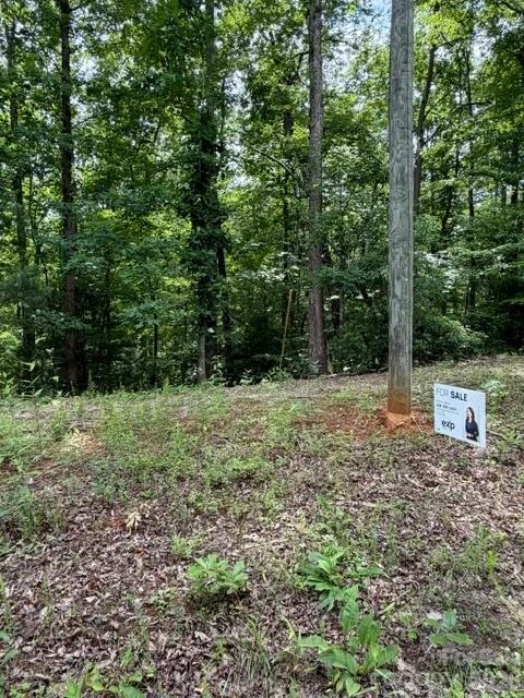 0 Pear tree Drive - Photo 4