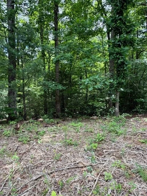 0 Pear tree Drive - Photo 5