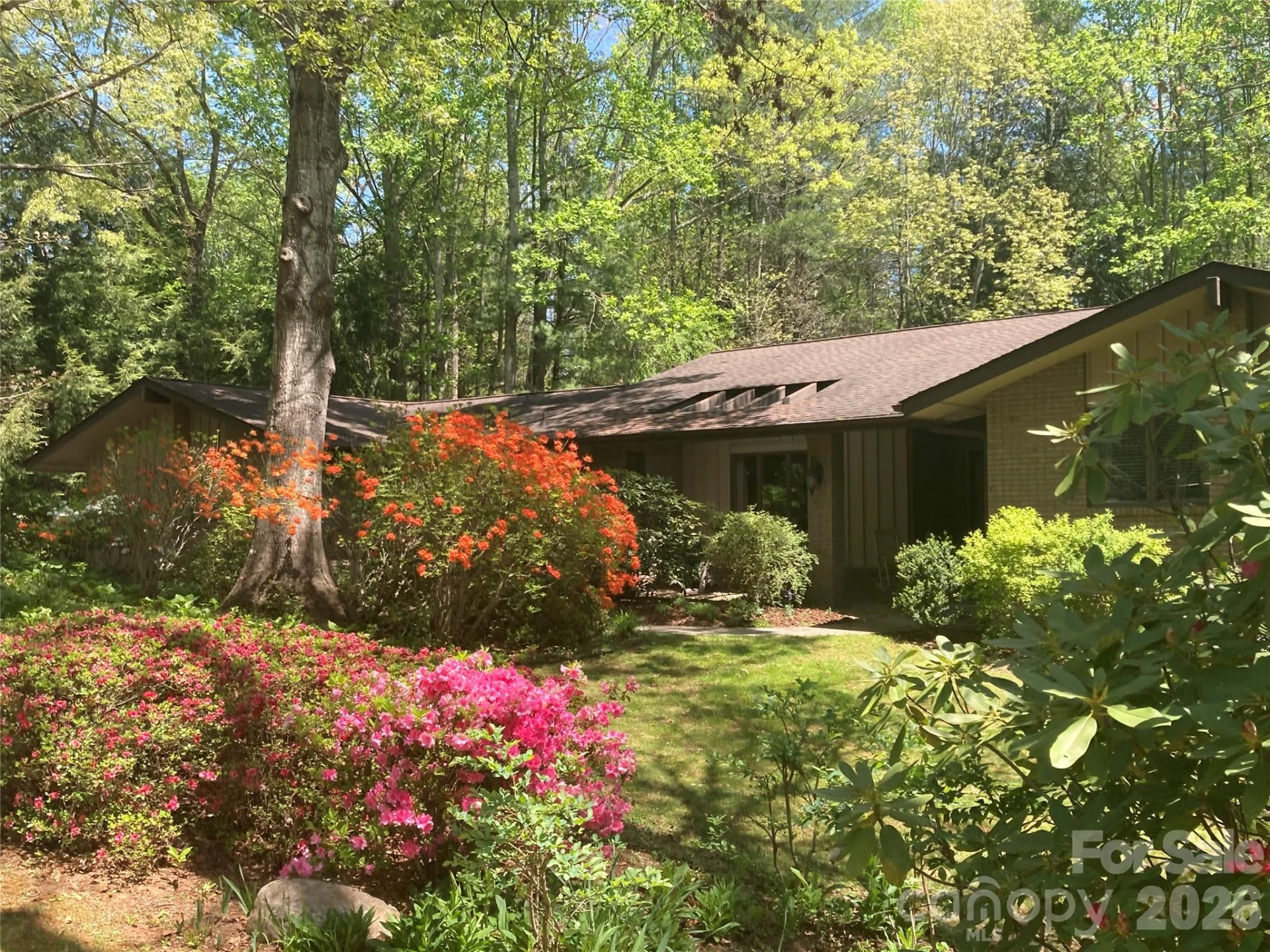 115 Woodhaven Drive - Photo 3